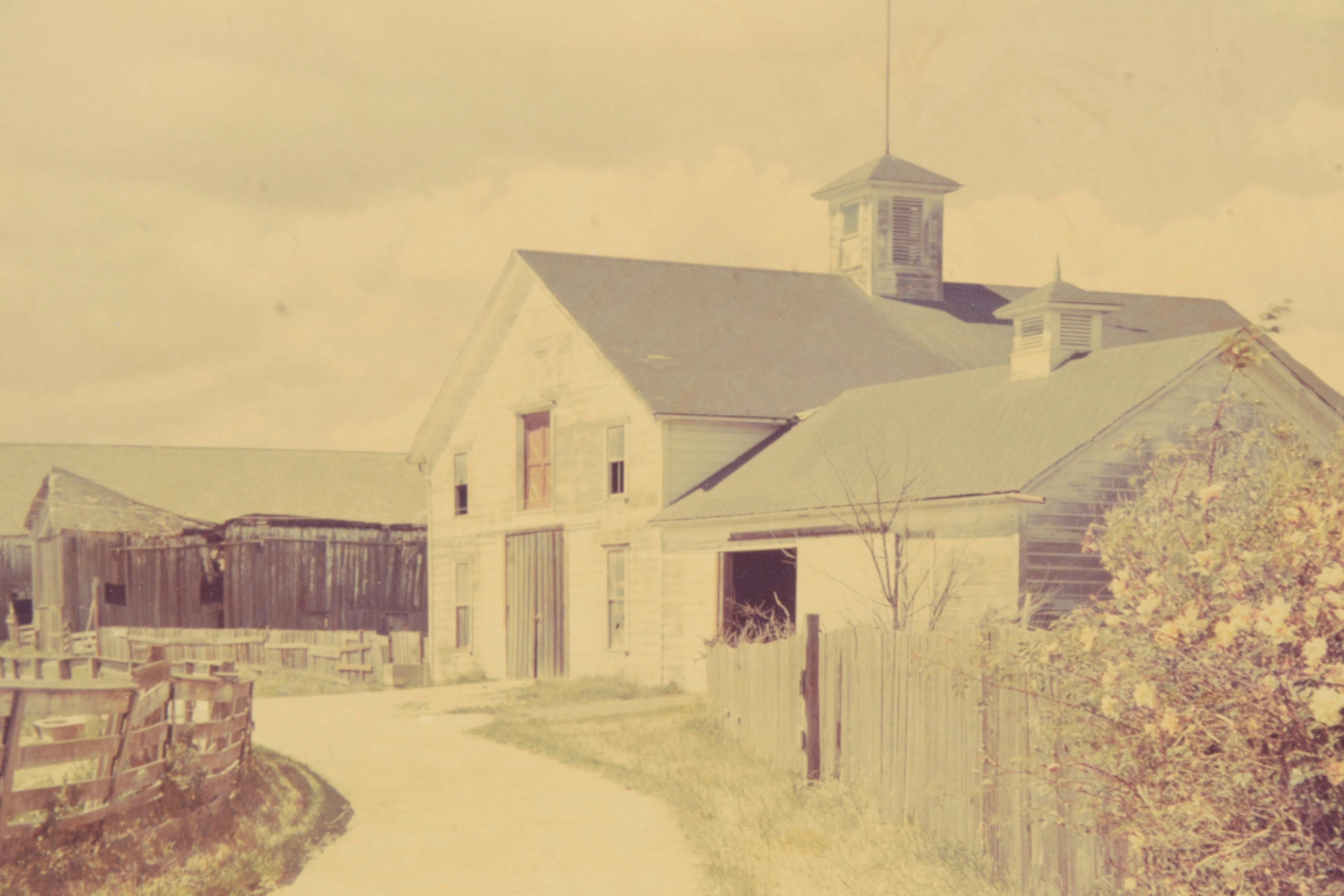 Wilder Ranch Landschaft Fotografie aus der Mitte des Jahrhunderts (Beige), Color Photograph, von Vester Dick