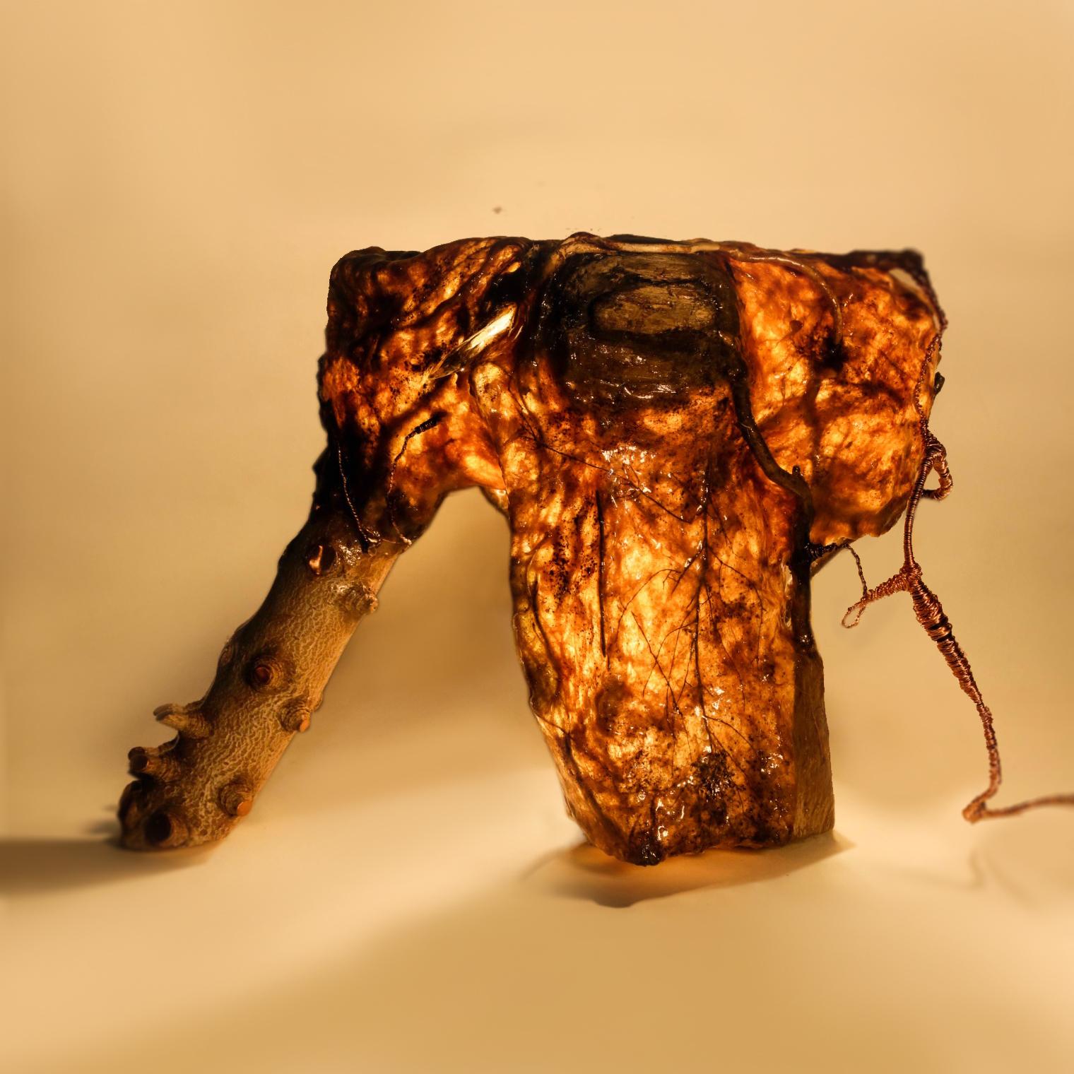 MATERIALES: RECETA BIOPLÁSTICA DEL ARTISTA, RAÍCES NATURALES, FIBRAS NATURALES, HOJAS, RAMAS, CRISTALES, FIBRA DE CÁÑAMO, FRAGMENTOS DE MUEBLES DE MADERA. SENSORES ELECTRÓNICOS DE MOVIMIENTO QUE ACTIVAN LA PIEZA CON LA PROXIMIDAD DEL