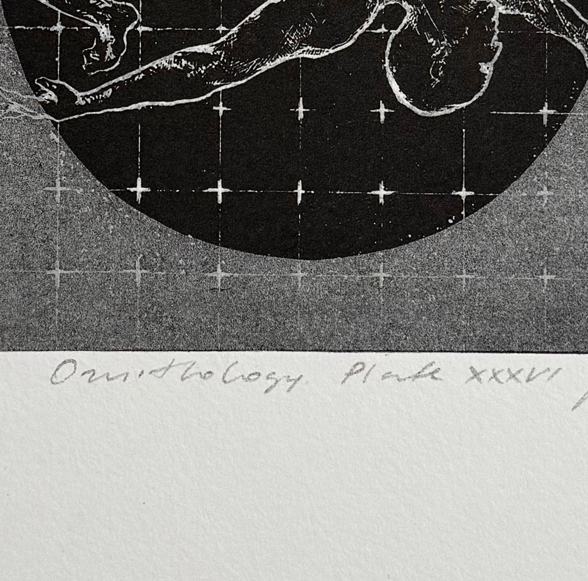 Ornithology N36 - Black Figurative Print by Veta Gorner