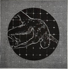 Ornitologia N36