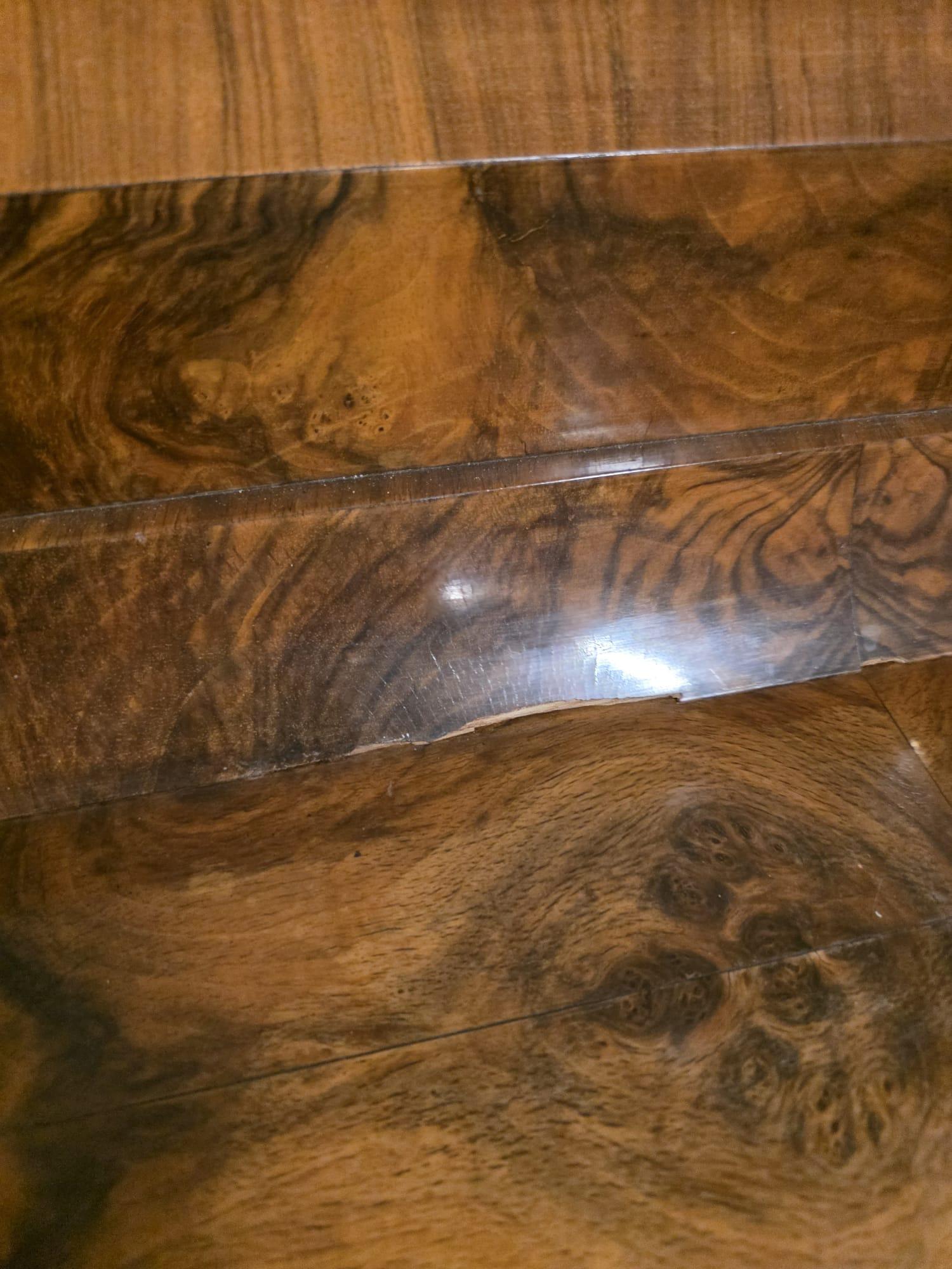 Art Deco walnut-root display case 1930s' For Sale 7