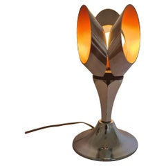 Vey Rare Midcentury Table Lamp Tulip RAAK, 1970s