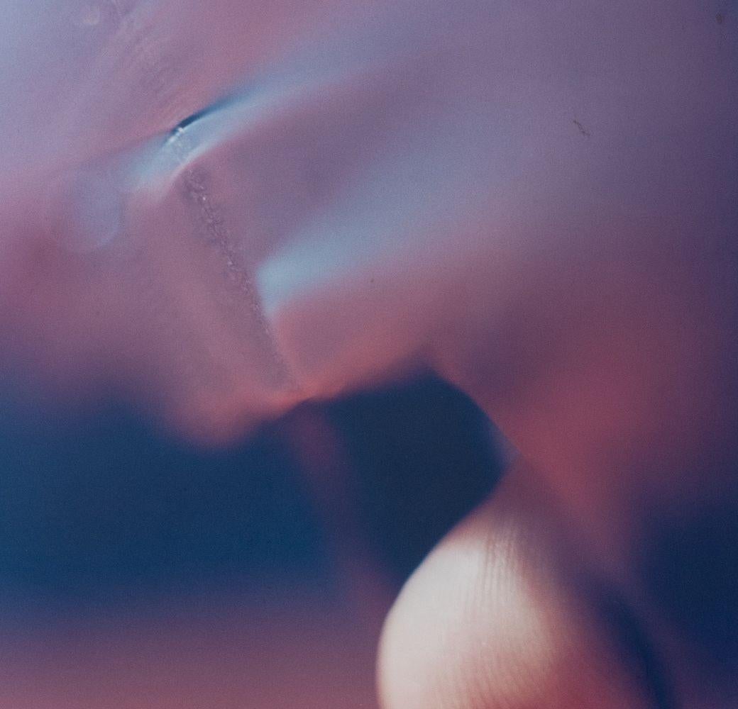 Vibeke Jensen (Norwegian, b. 1962), 