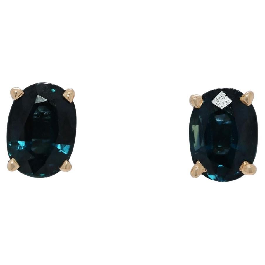 Vibrant 1.62ct Sapphire 18K Yellow Gold Stud Earrings