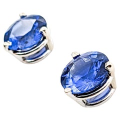 Vibrant 3.60ctw Blue Sapphire Solitaire Stud Earrings in White Gold