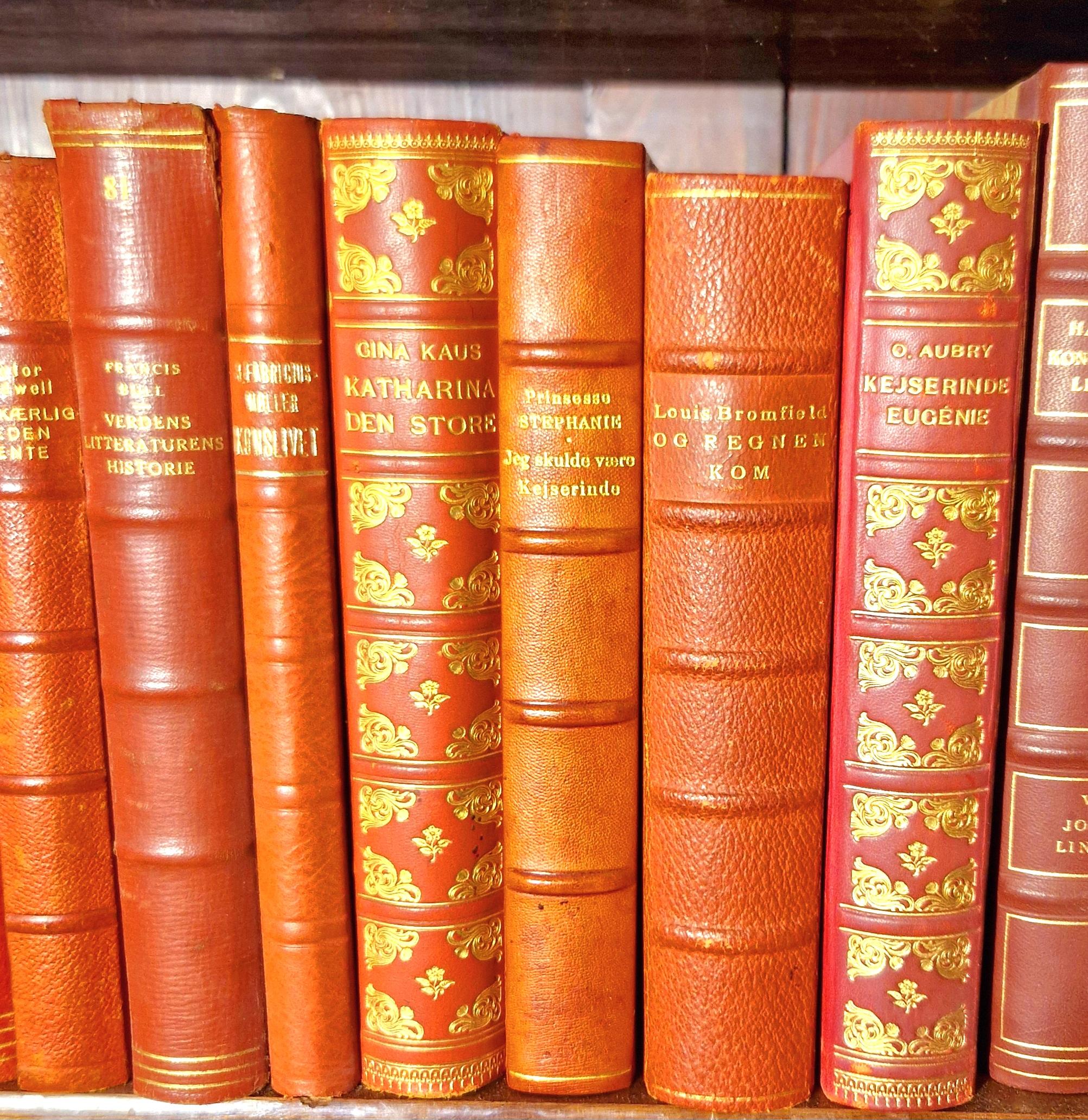 Vibrant Antique Red Leatherbound Book Collection For Sale 3