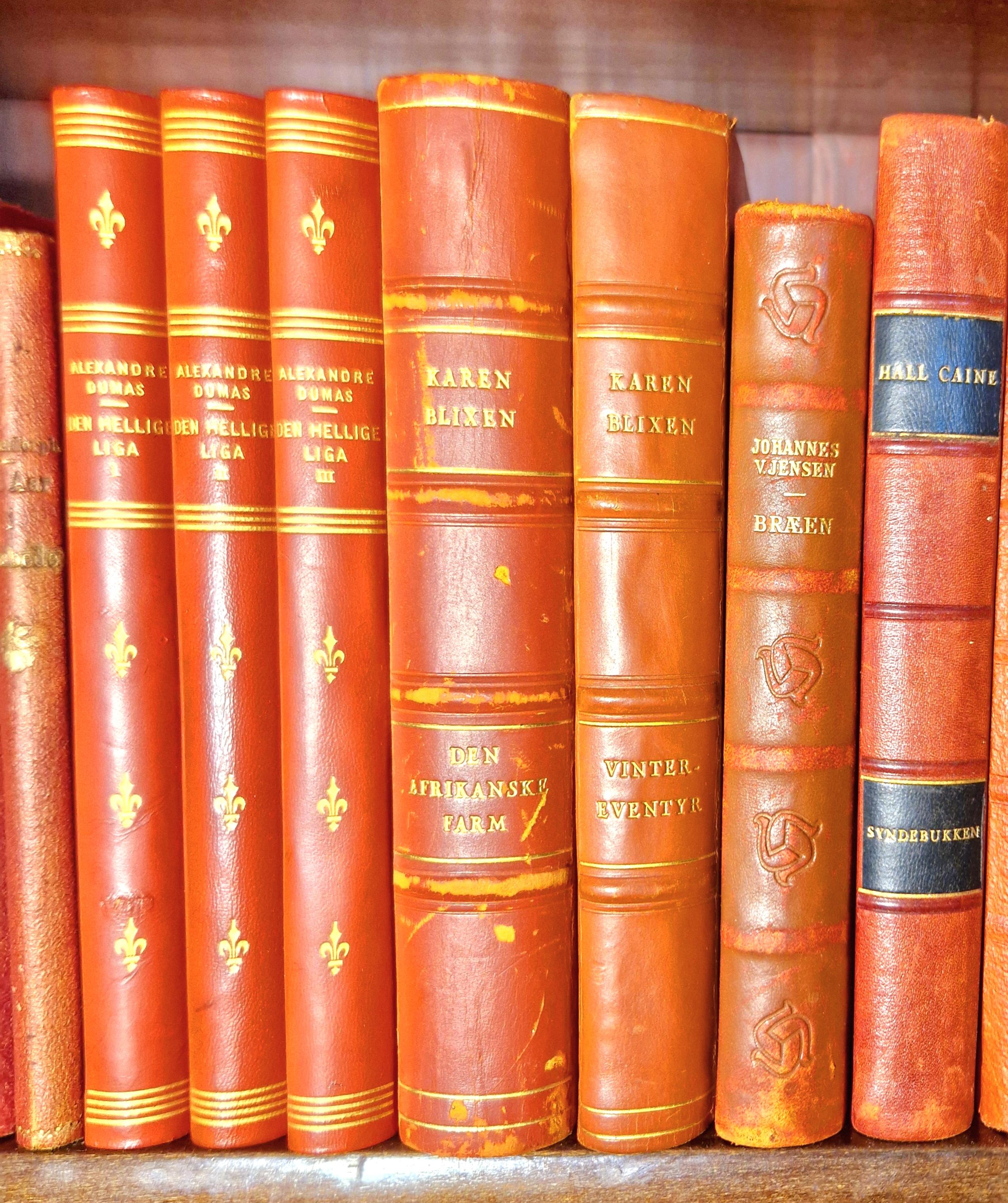 Vibrant Antique Red Leatherbound Book Collection For Sale 5