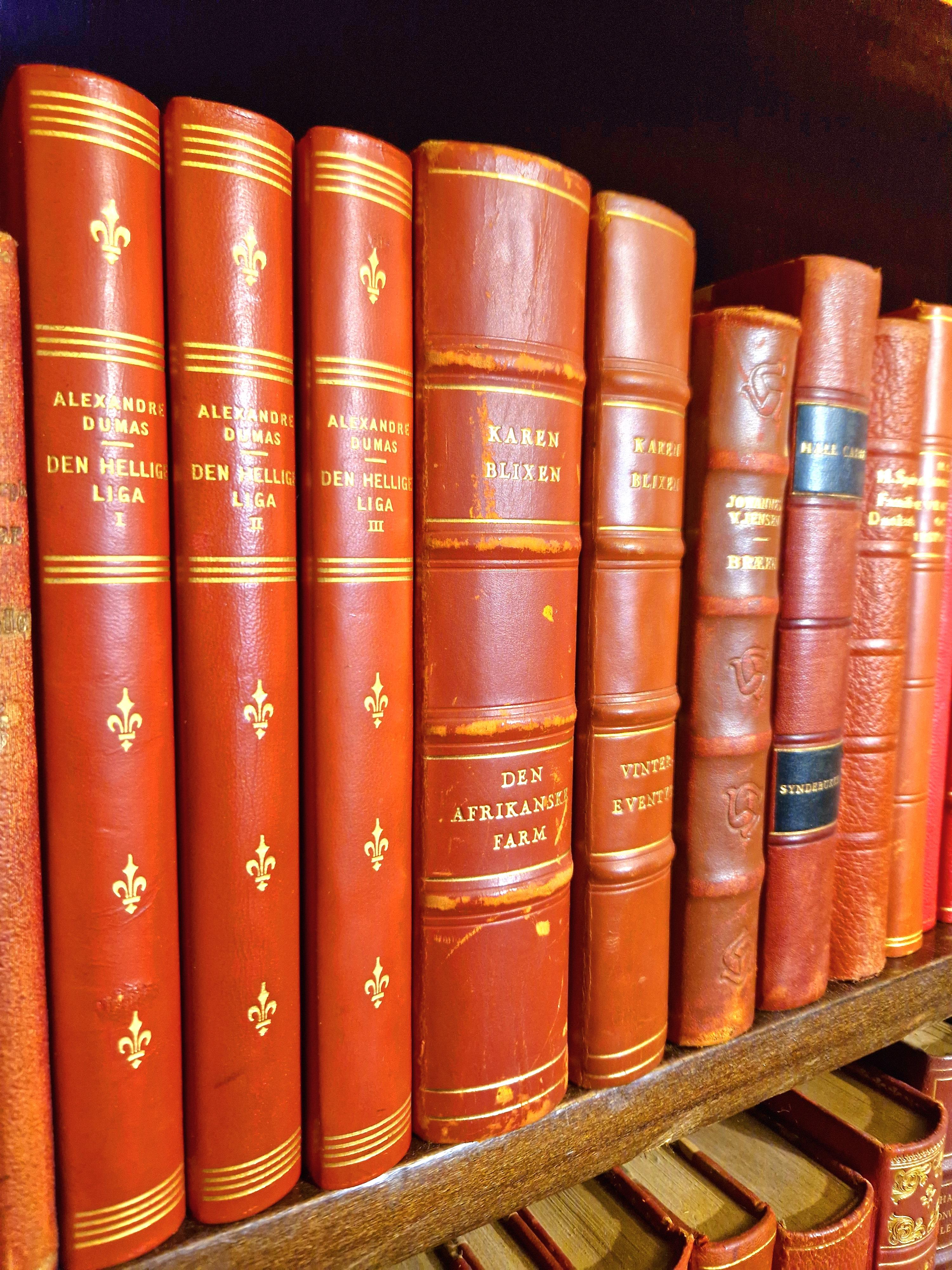Vibrant Antique Red Leatherbound Book Collection For Sale 6