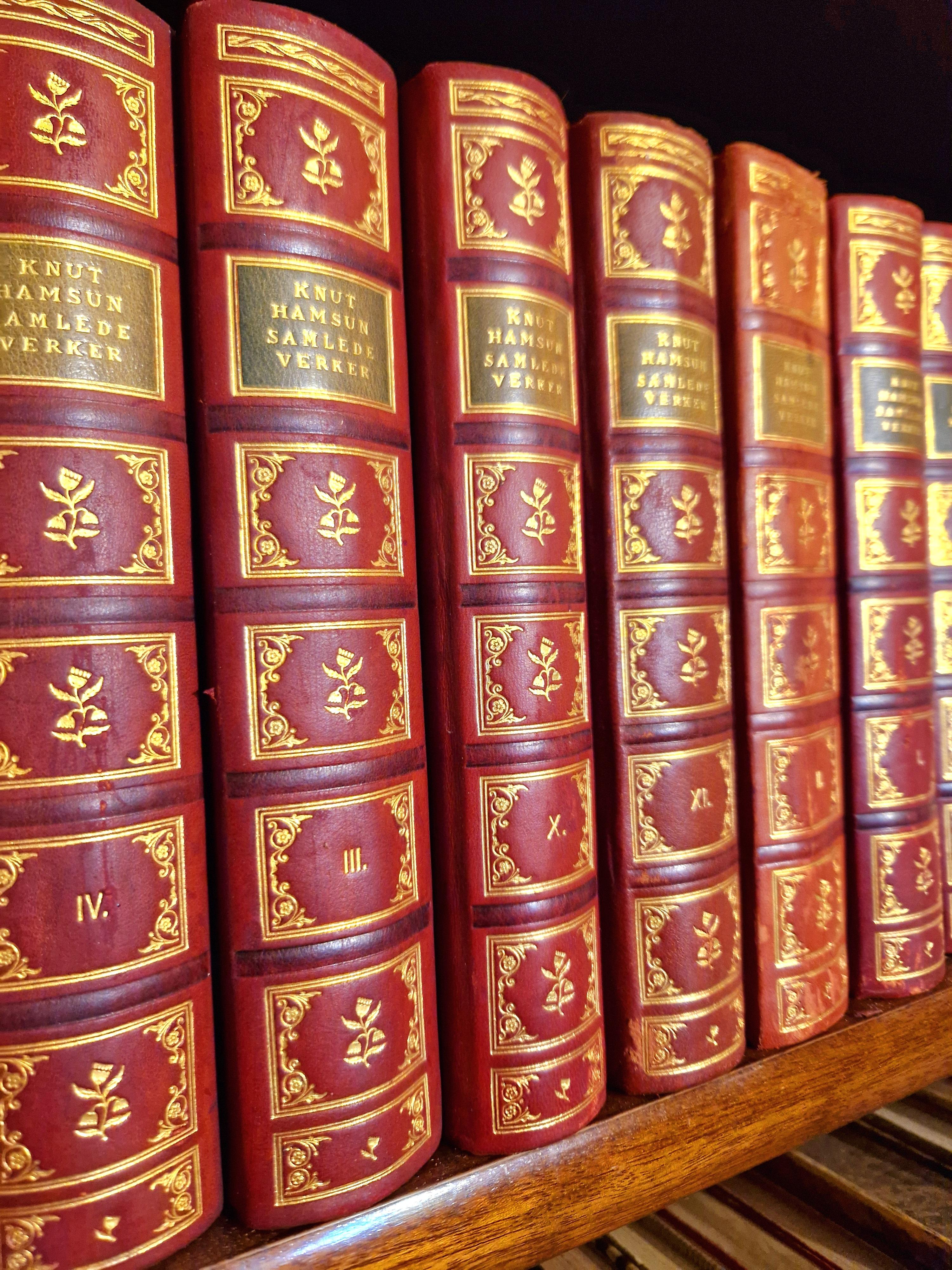 Vibrant Antique Red Leatherbound Book Collection For Sale 7