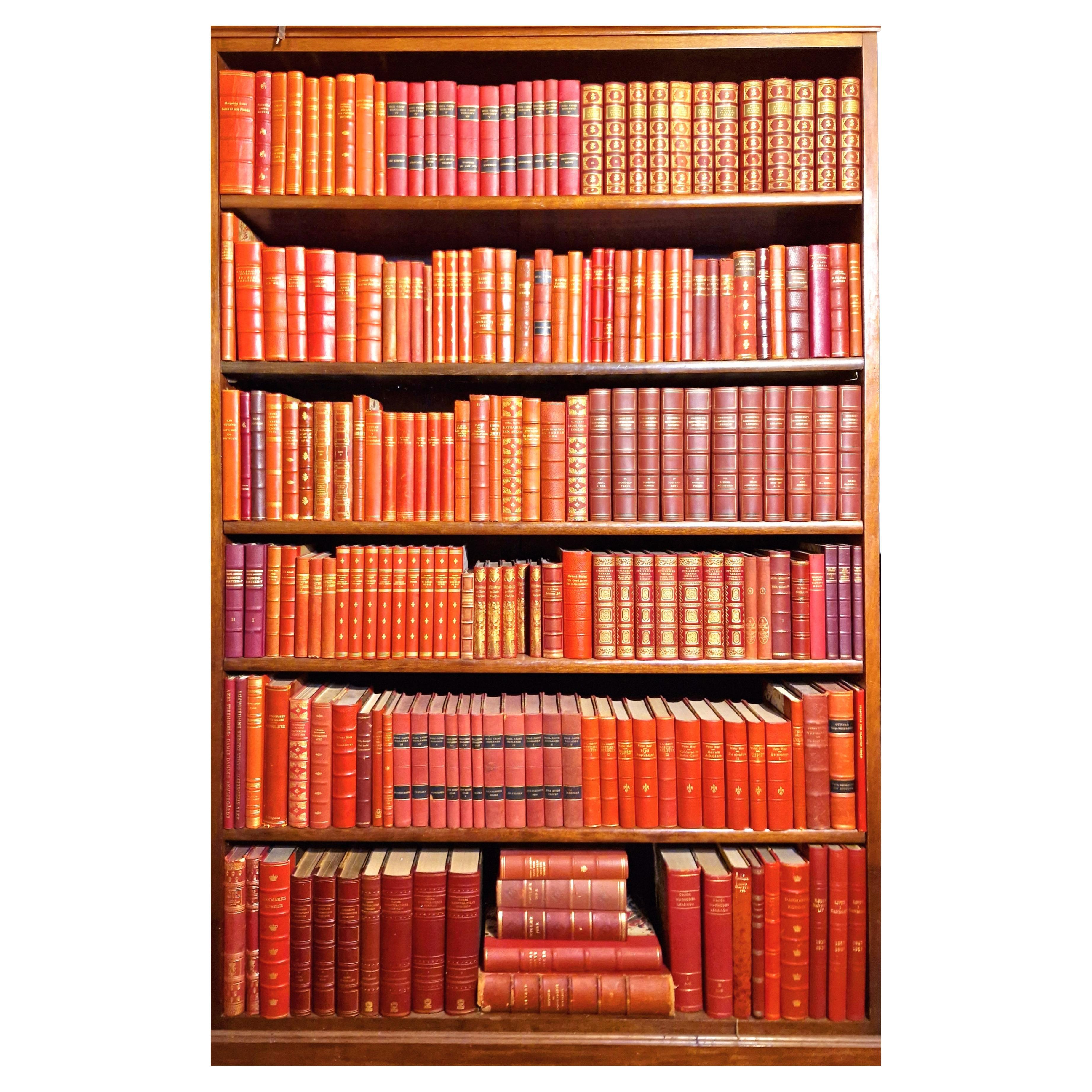 Vibrant Antique Red Leatherbound Book Collection