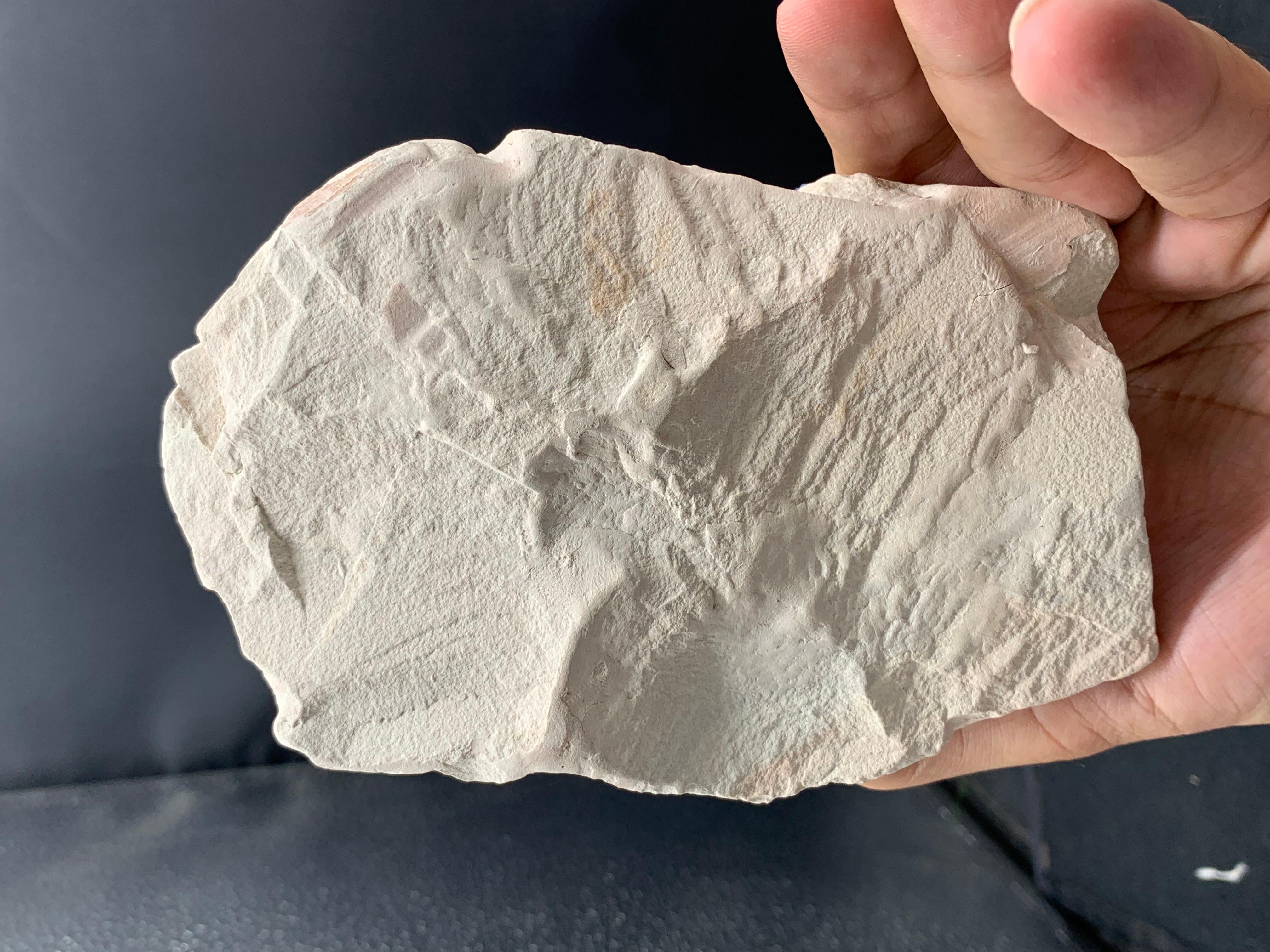 Probe: Azurit-Kristalle auf Kaolinit-Matrix
Gewicht: 483 Gramm
Abmessungen: H: 13,5 x B: 9,5 x T: 3,5 cm
Fundort: Malbunka Copper Mine, Western Aranda County, Australien
Behandlung: Keine
.
