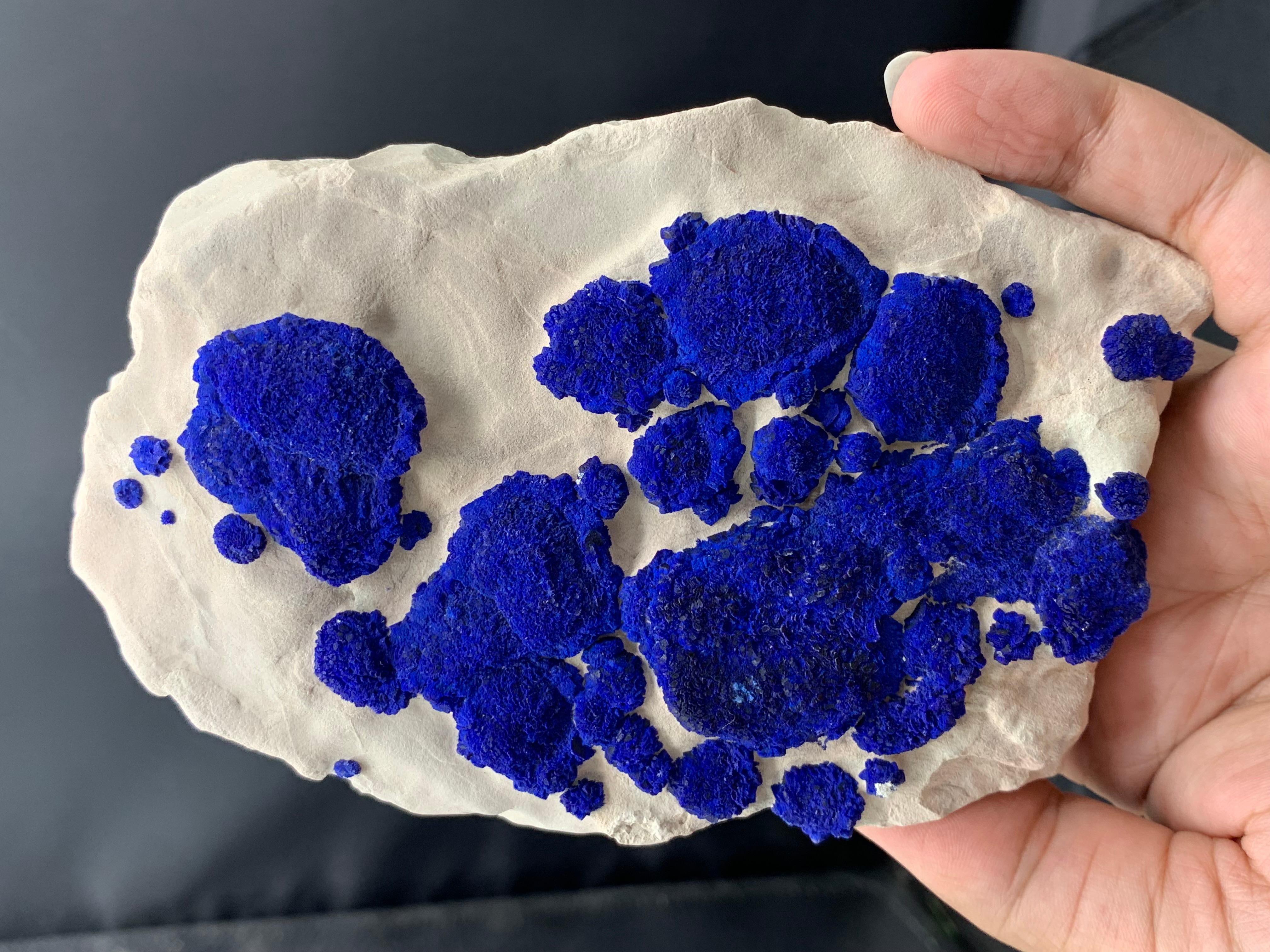 Leuchtend Azuritblaue Azurit-Sonnenkristalle auf Kaolinit-Matrix aus Australien (Adamstil) im Angebot