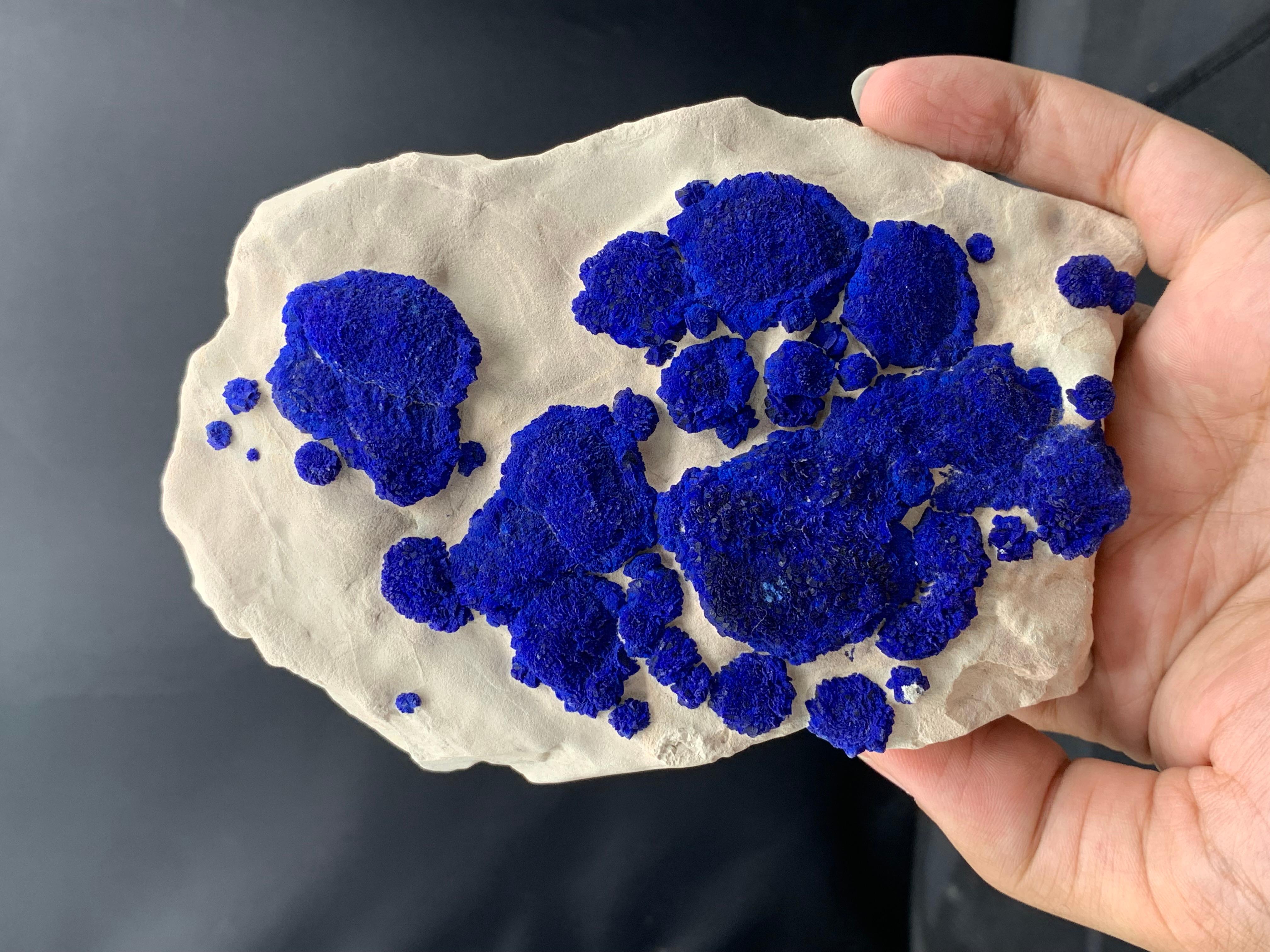 Leuchtend Azuritblaue Azurit-Sonnenkristalle auf Kaolinit-Matrix aus Australien (Australisch) im Angebot