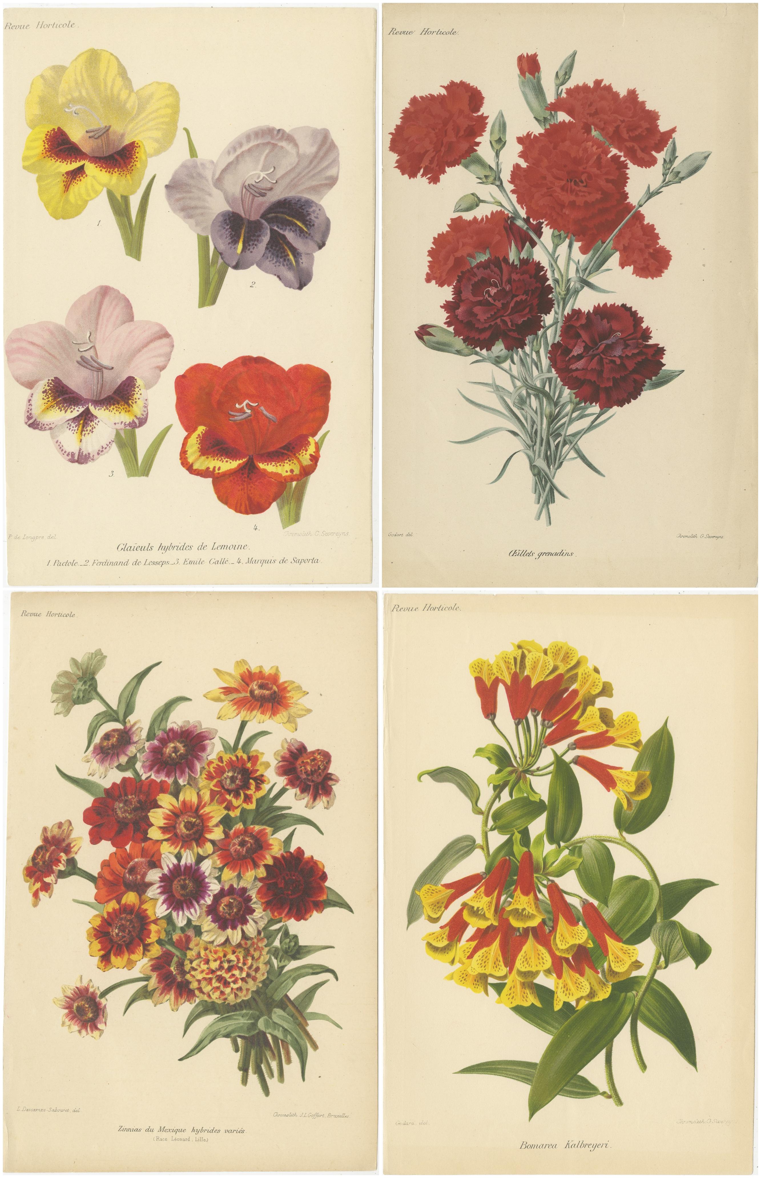 Diese Chromolithographien, die ursprünglich in der *Revue Horticole* veröffentlicht wurden, gehören zu den schönsten Beispielen der botanischen Kunst des 19. Jahrhunderts und zeichnen sich durch eine exquisite Detailgenauigkeit und leuchtende Farben
