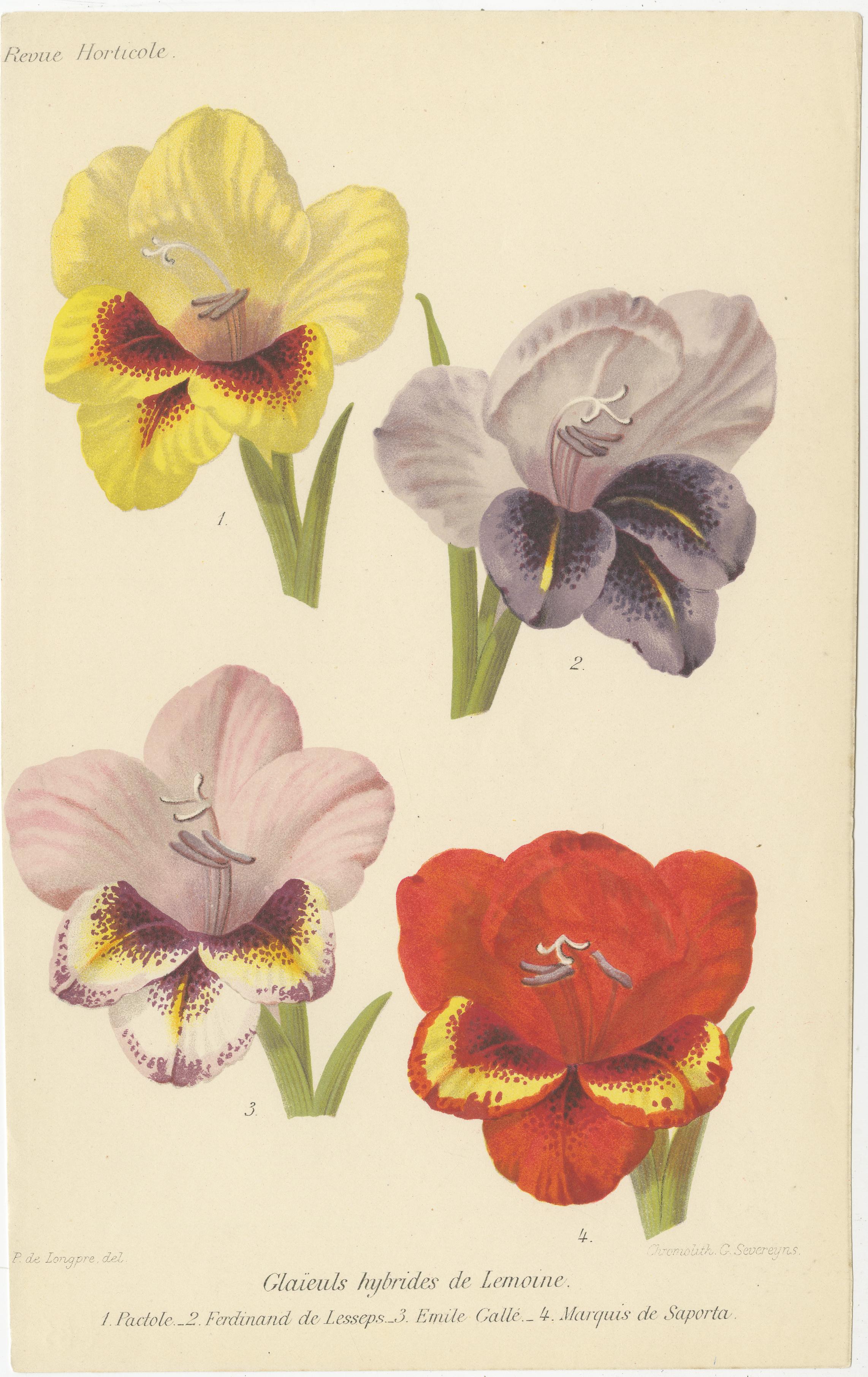 Vibrant Blooms: Eine Sammlung exquisiter Chromolithographien der Revue Horticole im Zustand „Gut“ im Angebot in Langweer, NL