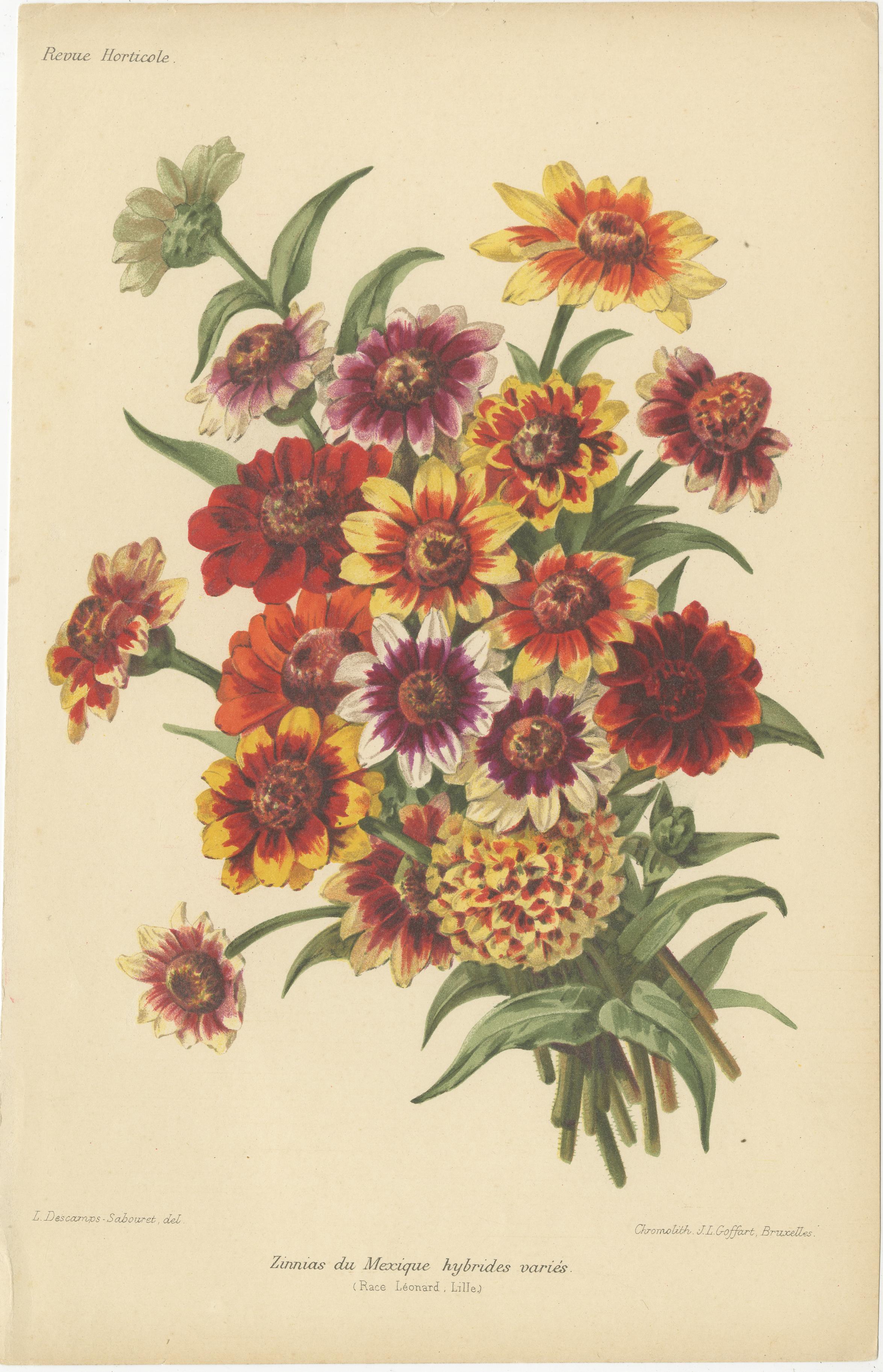 Vibrant Blooms: Eine Sammlung exquisiter Chromolithographien der Revue Horticole (Papier) im Angebot