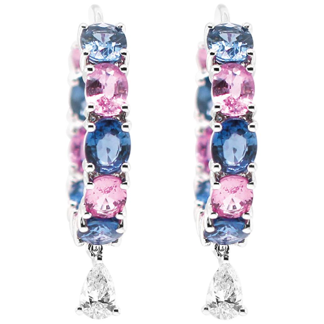 Vibrant Blue and Soothing Pink Sapphire with White Diamond Cocktail Hoop Earring