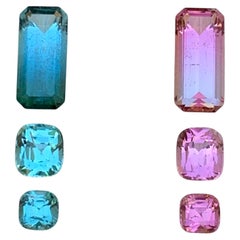 Tourmaline naturelle bleue et rose des paires parfaites de 5,55 carats