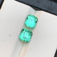 Lebendiger bläulich grüner Turmalin 3.47 Ct Cushion-Schliff Natürlicher loser Edelstein-Paar