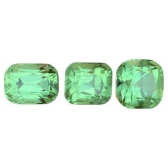 Peridoto naturale verde vibrante con taglio a cuscino da 13,05 carati, pacco di gemme sfuse
