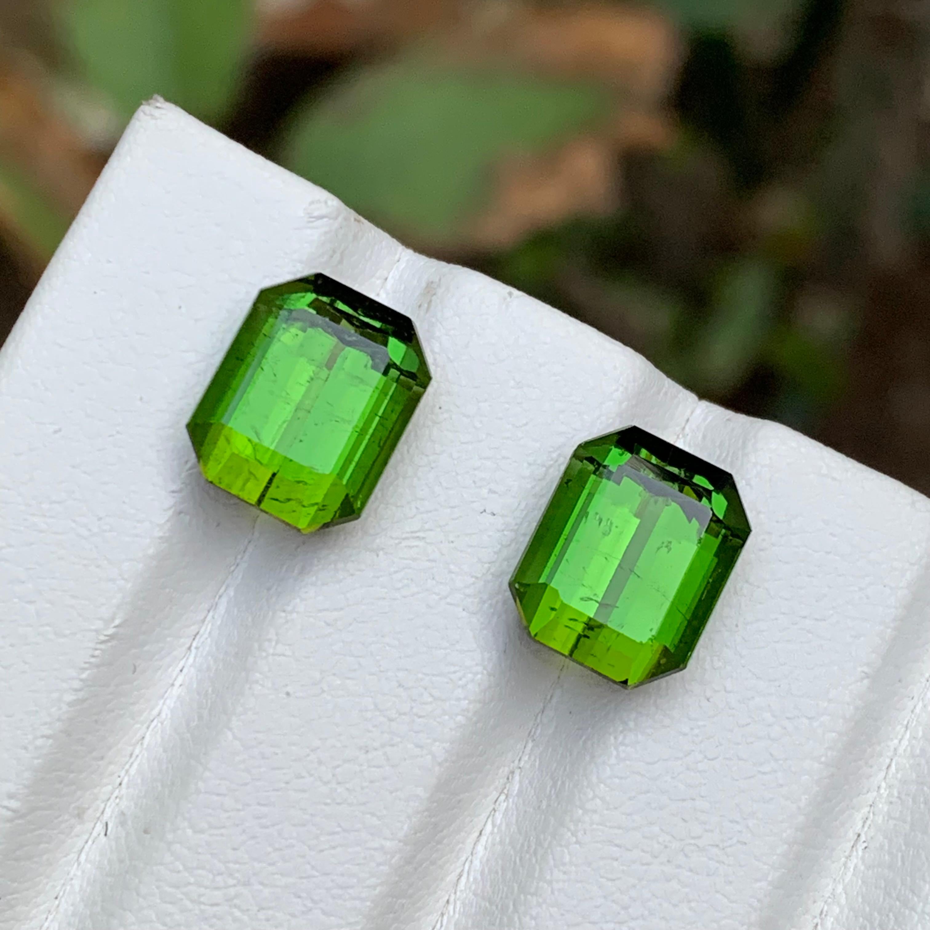 Vibrant Green Natural Tourmaline Earrings Loose Gemstone Pair 11.35 Ct Octagon In New Condition For Sale In Peshawar, PK
