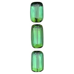 Bague et pendentif en tourmaline naturelle verte vibrante, pierres précieuses non serties Lot 3,70 carats