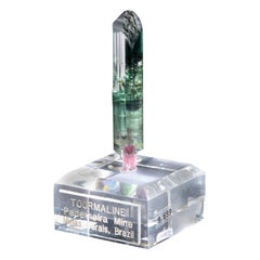 Vibrant Green ‘Rocket’ Tourmaline with Red Rubelite Stem