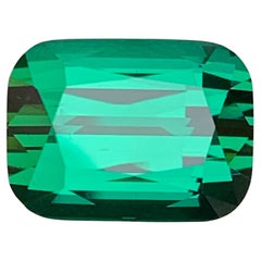 Vibrant Green Tourmaline 9.16 Carat Cushion Cut Natural Loose Gemstone for Ring
