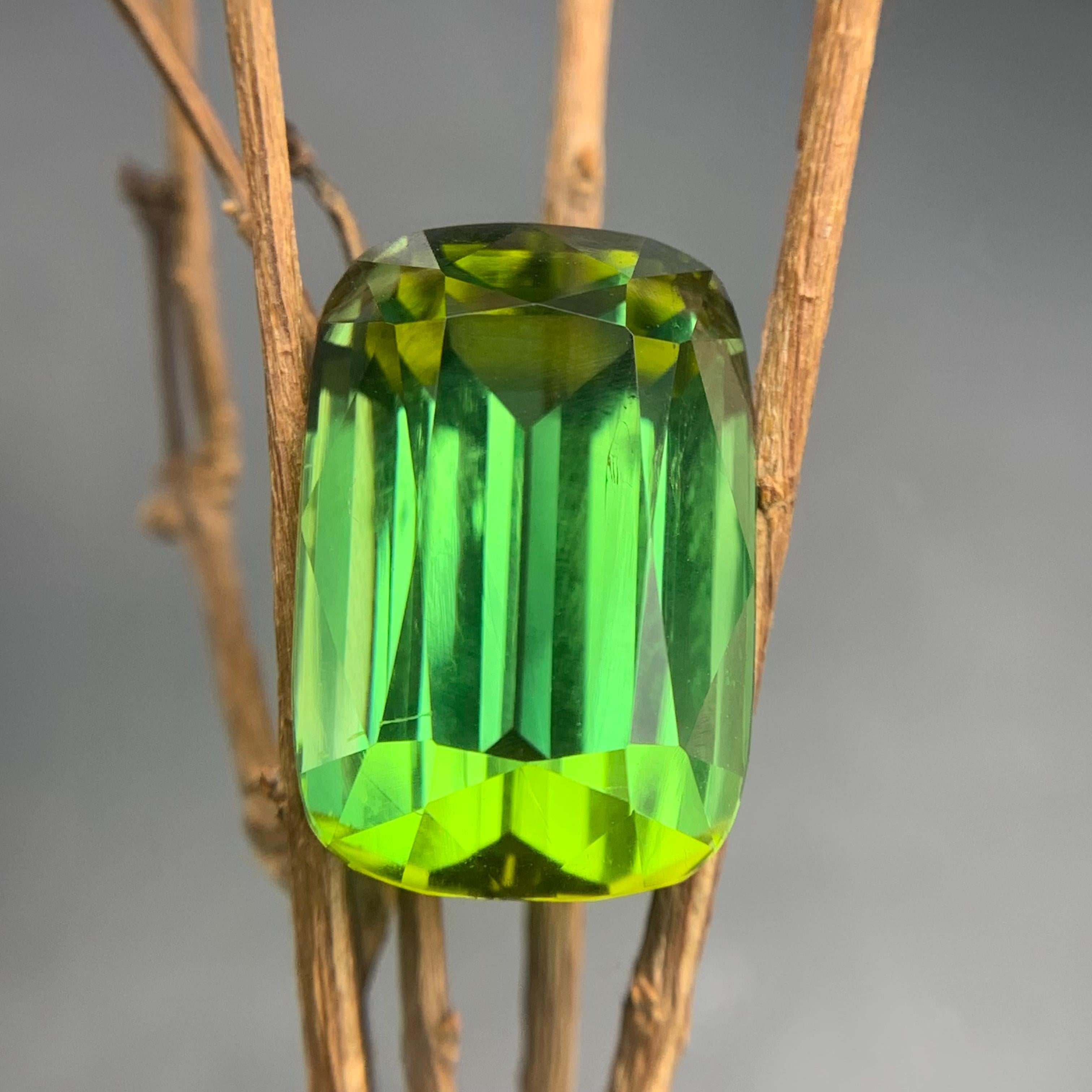 Pendentif taille coussin 16,70 carats en tourmaline naturelle verte intense et vibrante en vente 4