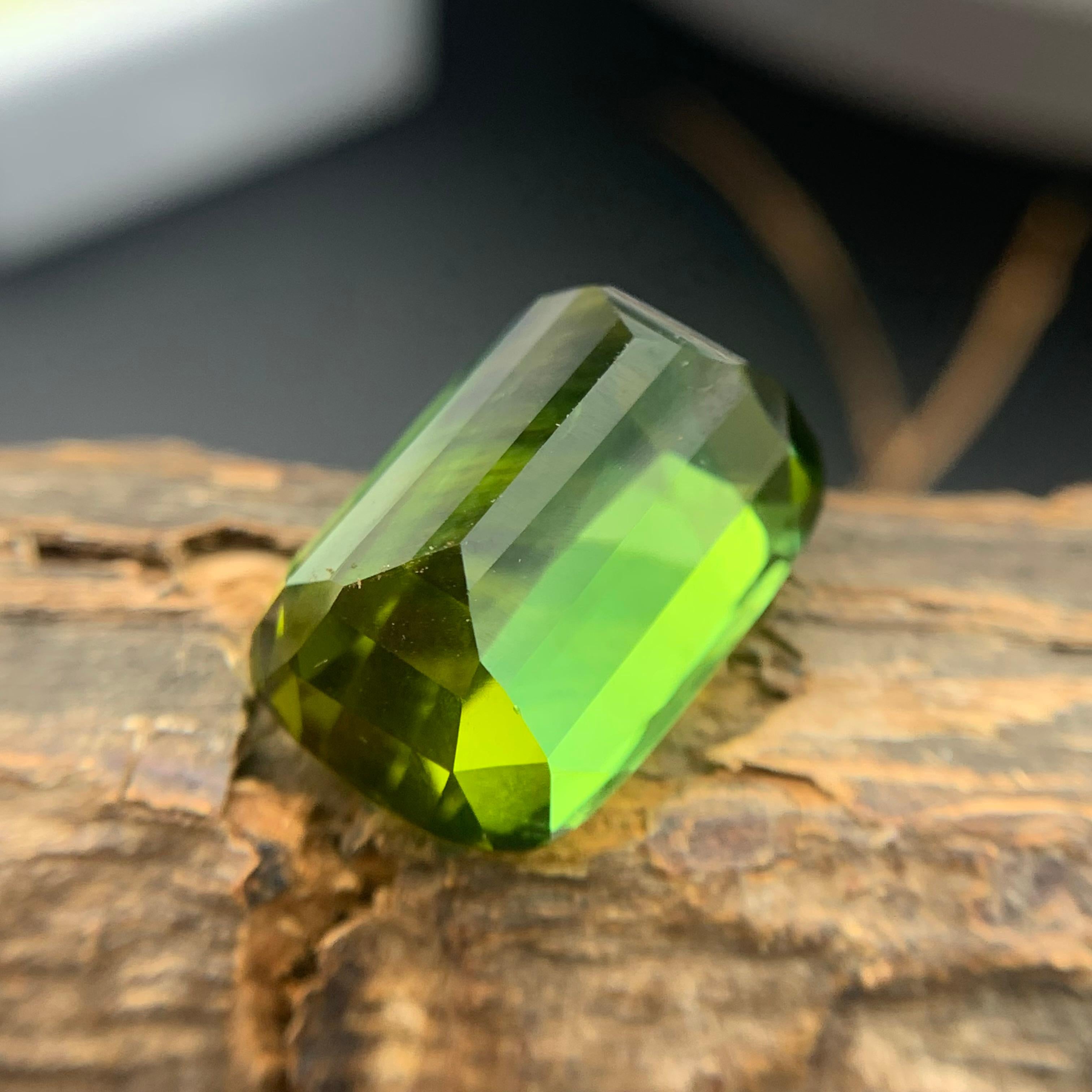 Pendentif taille coussin 16,70 carats en tourmaline naturelle verte intense et vibrante Neuf - En vente à Peshawar, PK