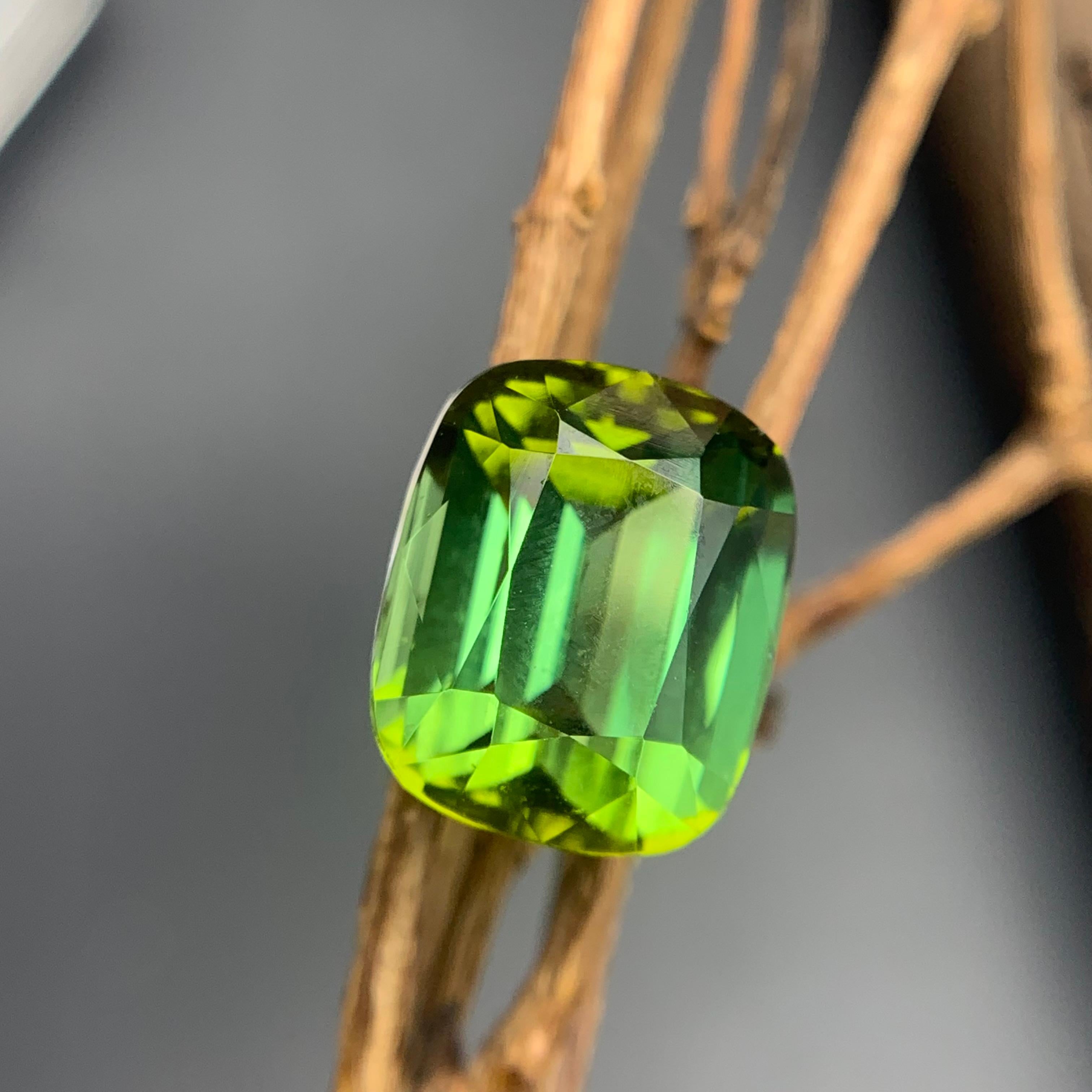 Pendentif taille coussin 6.70 carats en tourmaline naturelle verte intense et vibrante Unisexe en vente