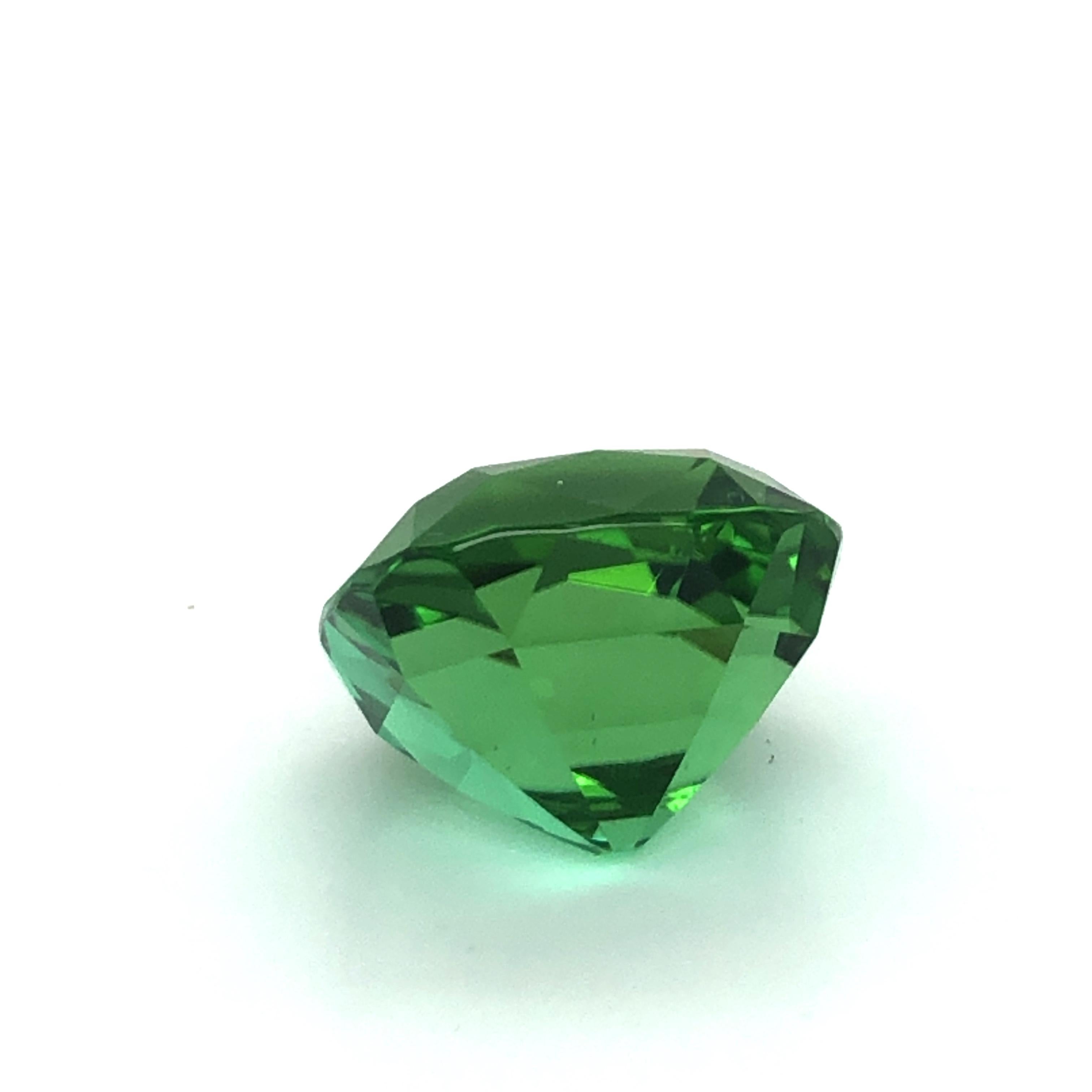 Vibrant Mint Colored Square Cushion Tourmaline of 15.76 Ct For Sale 10