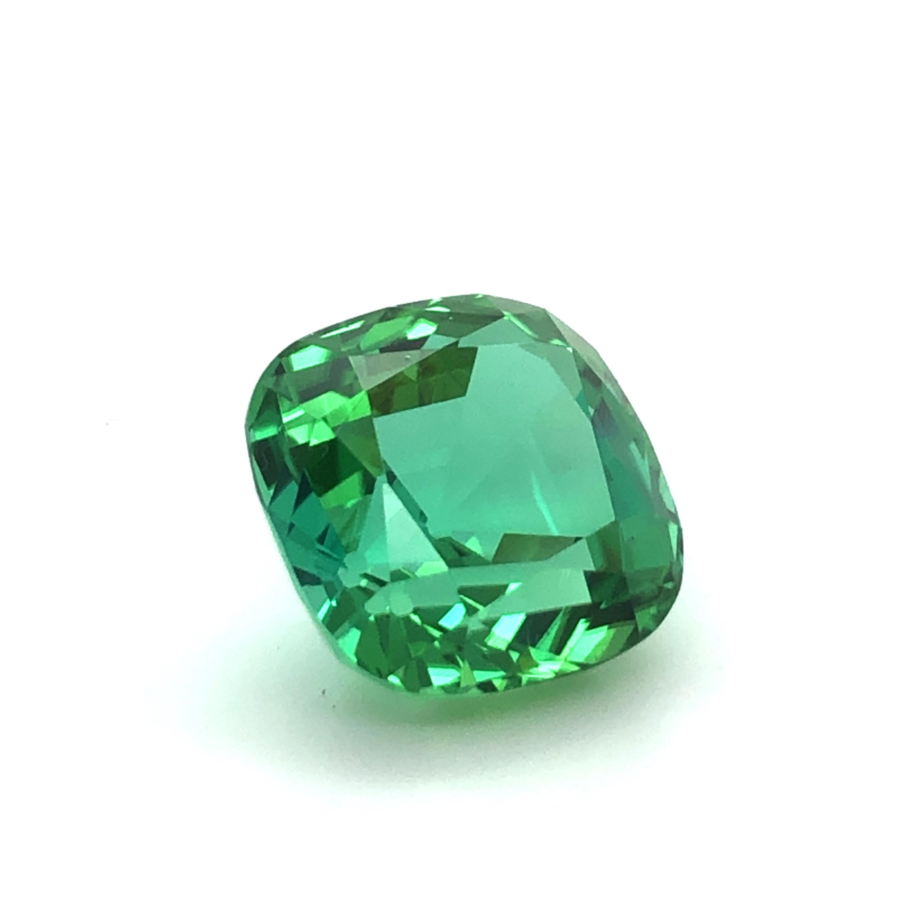 Vibrant Mint Colored Square Cushion Tourmaline of 15.76 Ct In Excellent Condition For Sale In Lucerne, CH