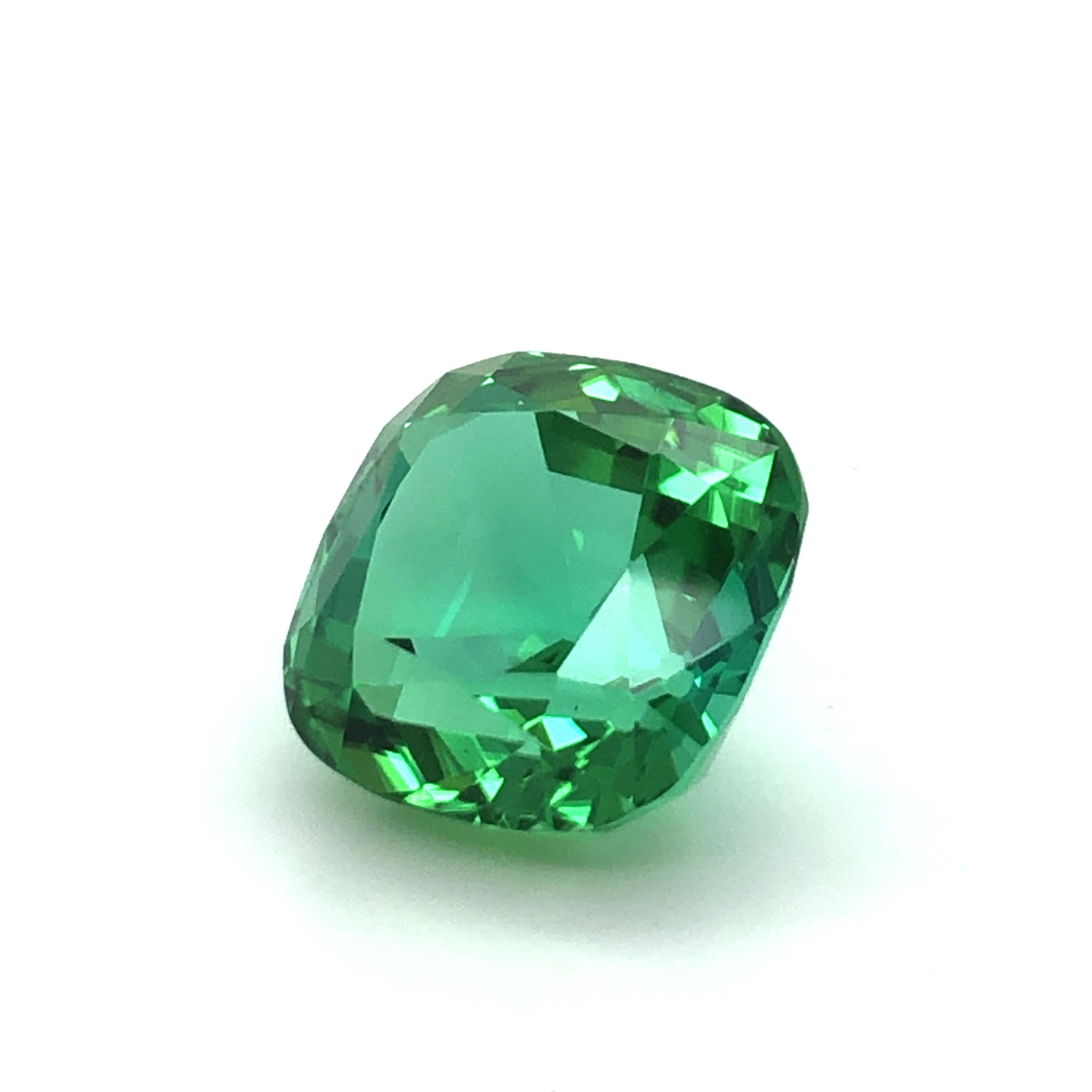 Vibrant Mint Colored Square Cushion Tourmaline of 15.76 Ct For Sale 2