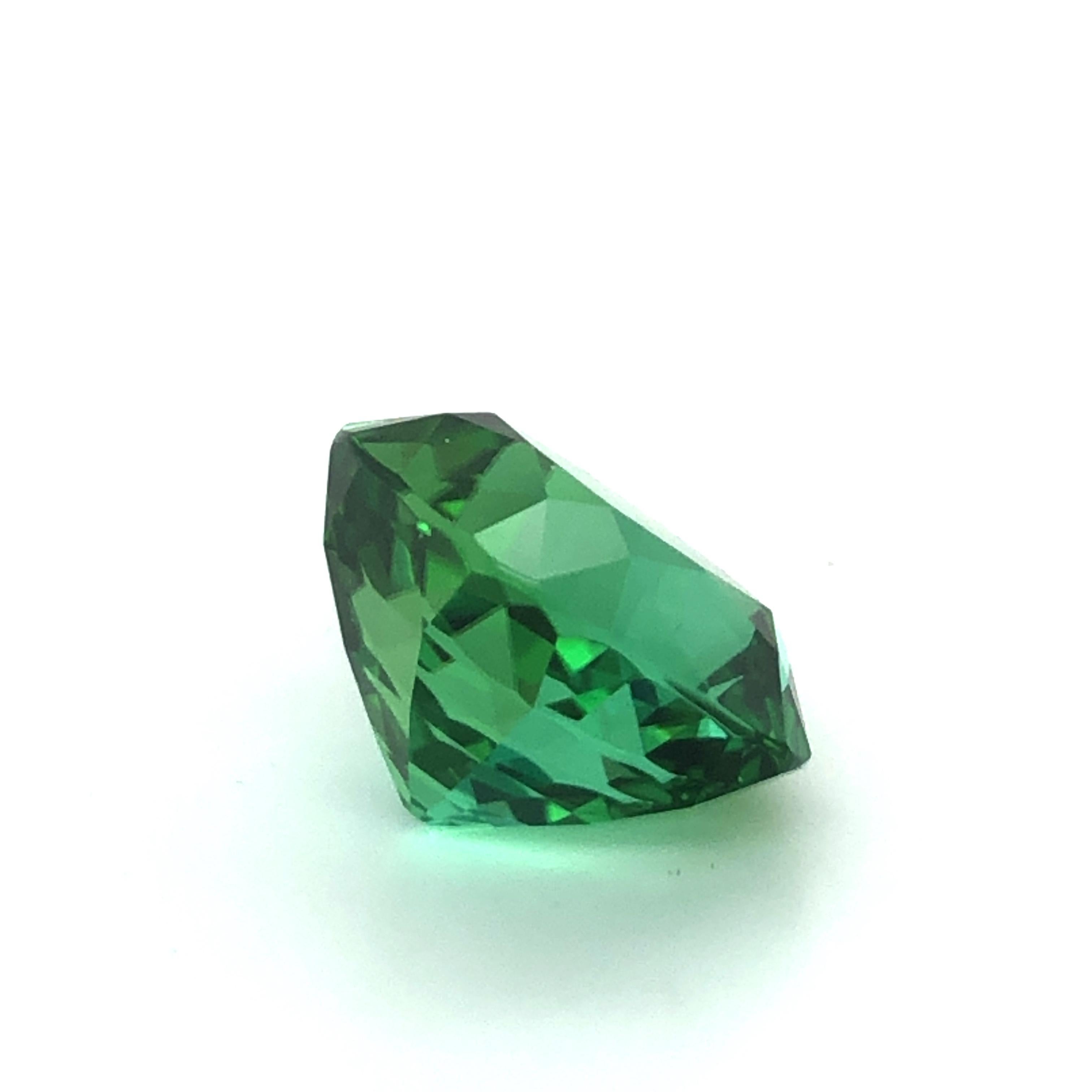 Vibrant Mint Colored Square Cushion Tourmaline of 15.76 Ct For Sale 4