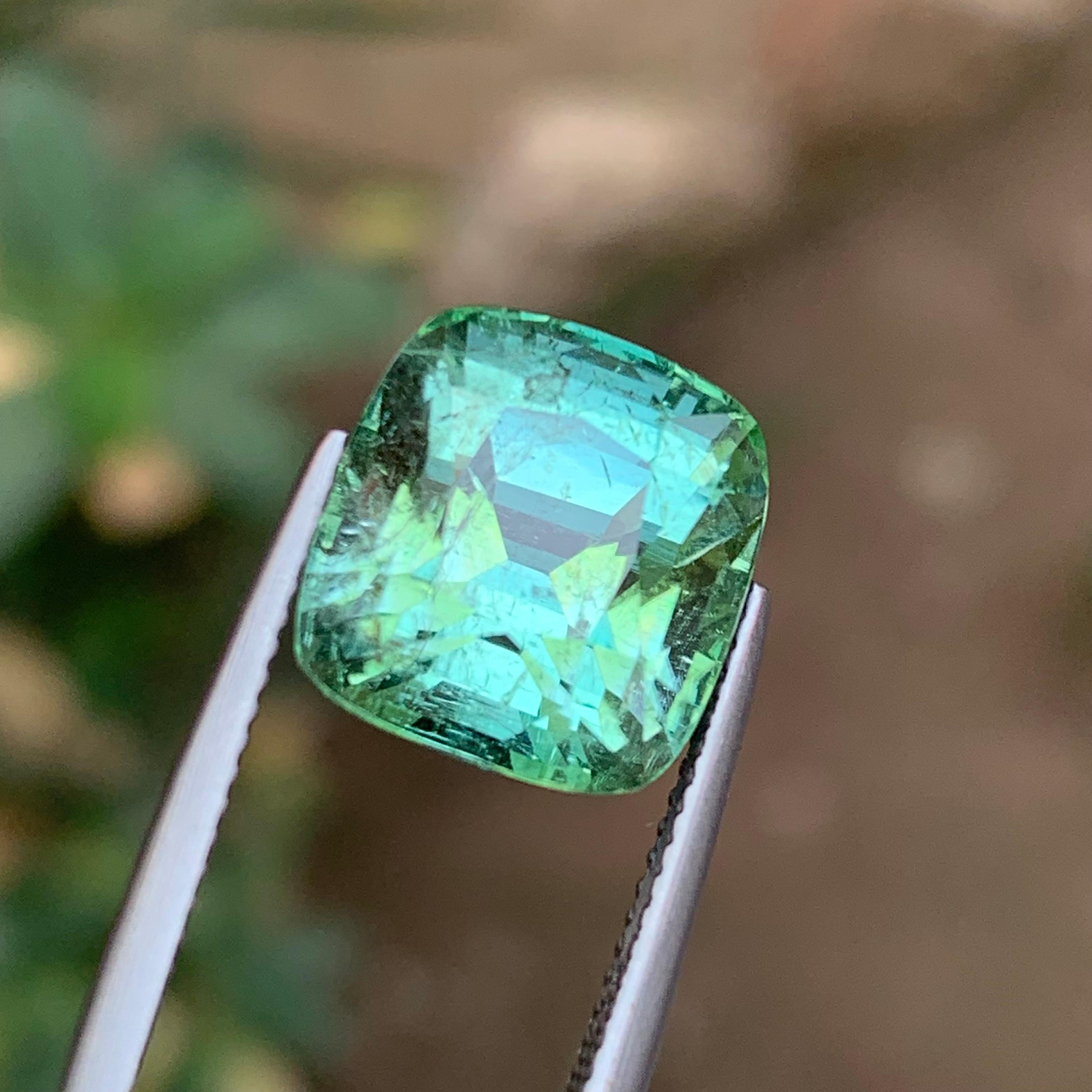 Vibrant Minty Green Tourmaline 10.86 Ct Natural Loose Gemstone Cushion Cut-Ring en vente 5