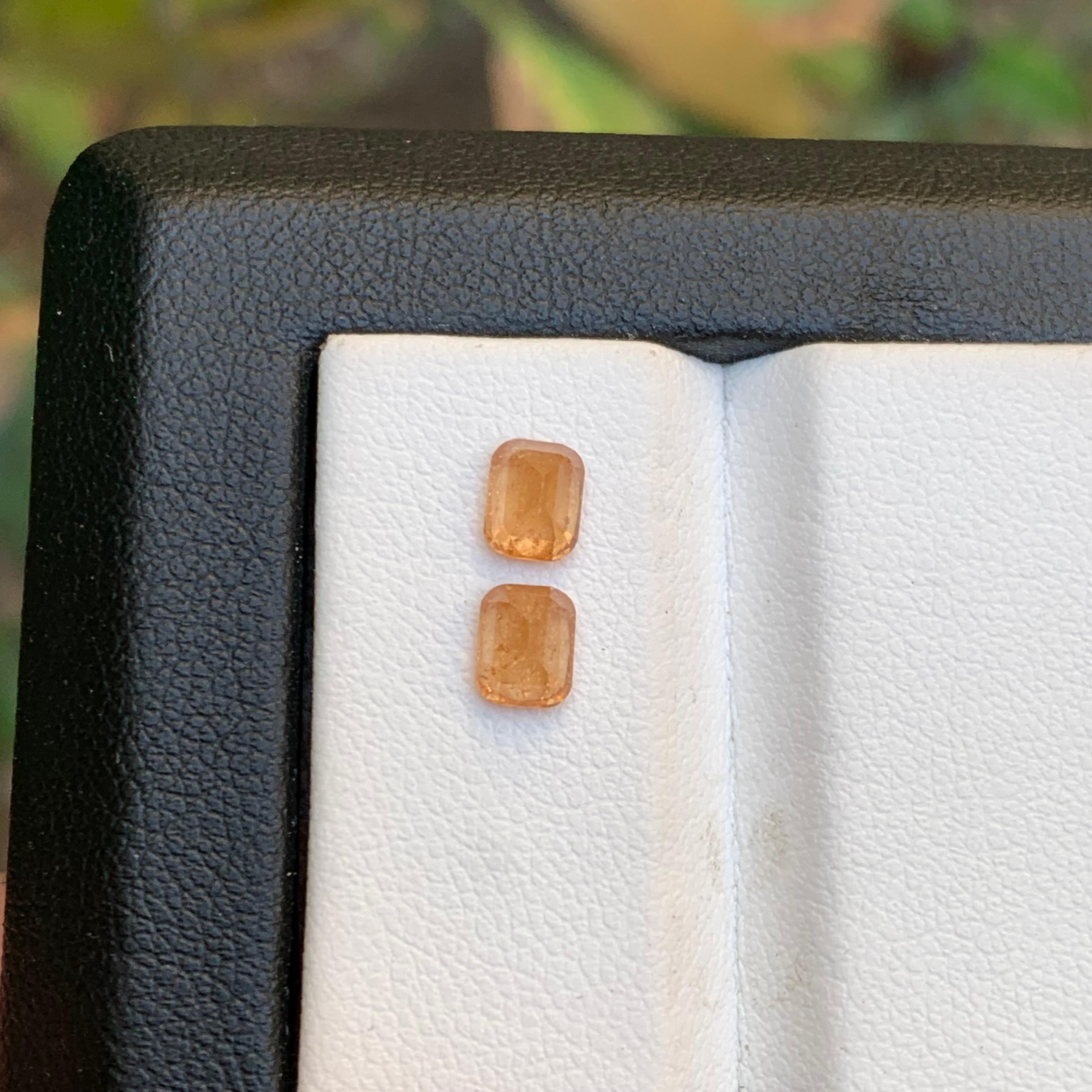 Vibrant Orange Natural Spessartine / Mandarin Garnet Loose Gemstones Pair 1.30Ct For Sale 2