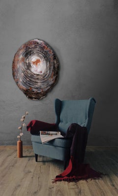 Petrified Conifer Wood from Arizona