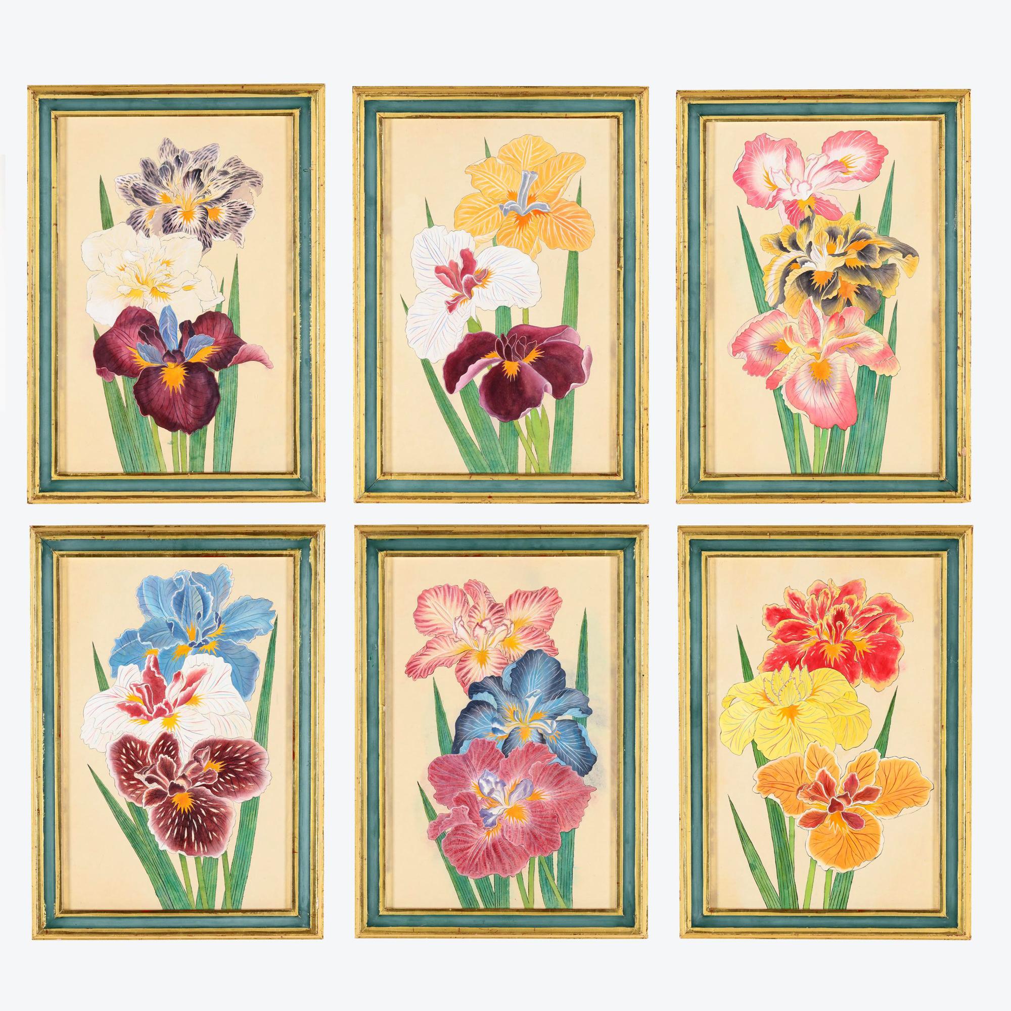 Lebendiger Satz von sechs Aquarellbildern von Schwertlilien

Dies ist eine attraktive Sammlung botanischer Originalkunst, die perfekt geeignet ist, um einem Raum Farbe und von der Natur inspirierte Eleganz zu verleihen.

Medium: Aquarell auf