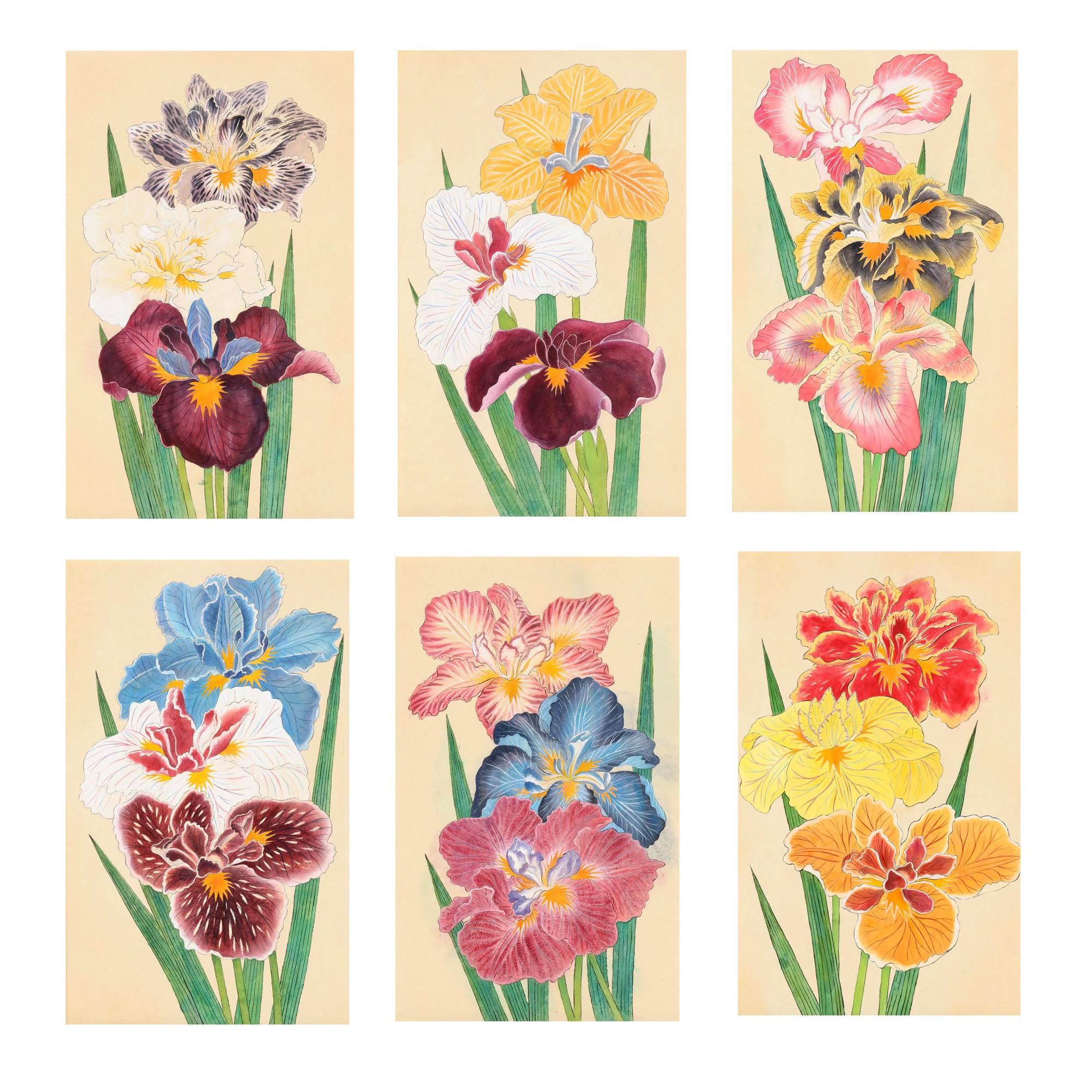 Lebendiger Satz von sechs Aquarellbildern von Schwertlilien (Japonismus) im Angebot