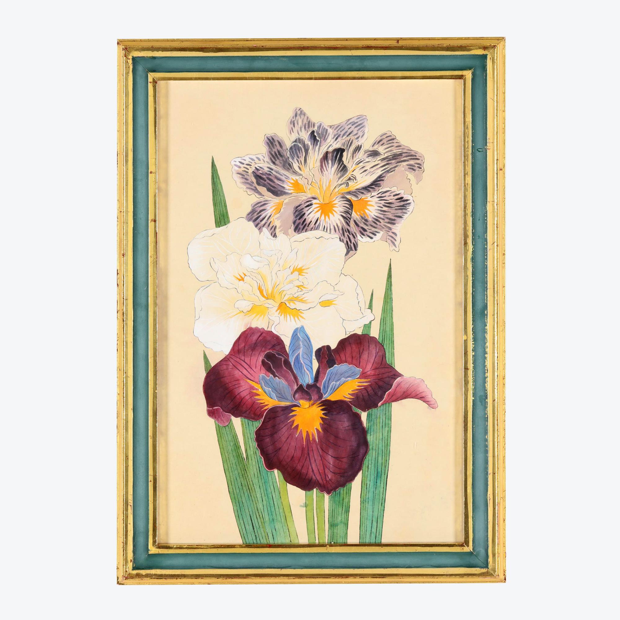 Lebendiger Satz von sechs Aquarellbildern von Schwertlilien (amerikanisch) im Angebot