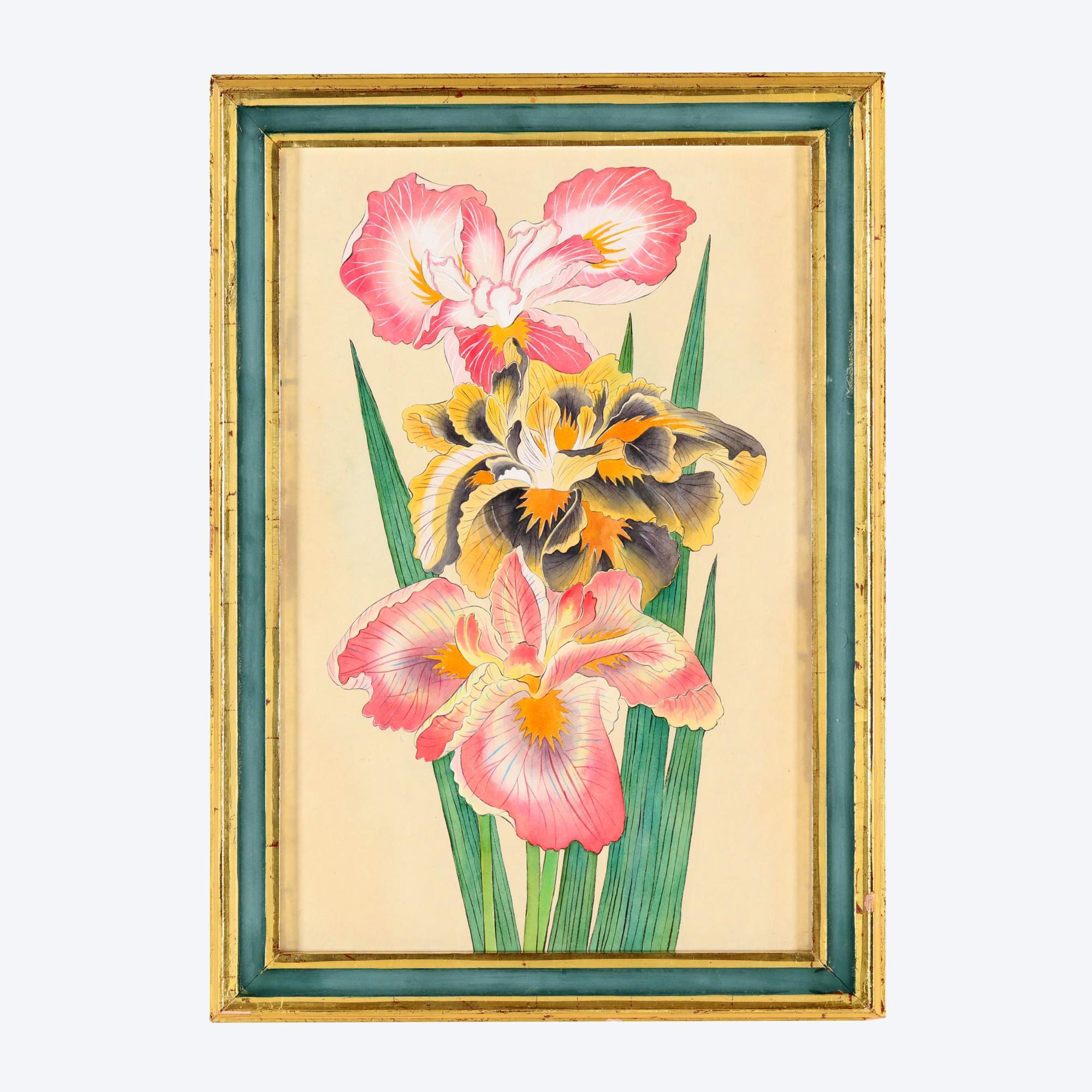 Lebendiger Satz von sechs Aquarellbildern von Schwertlilien (20. Jahrhundert) im Angebot