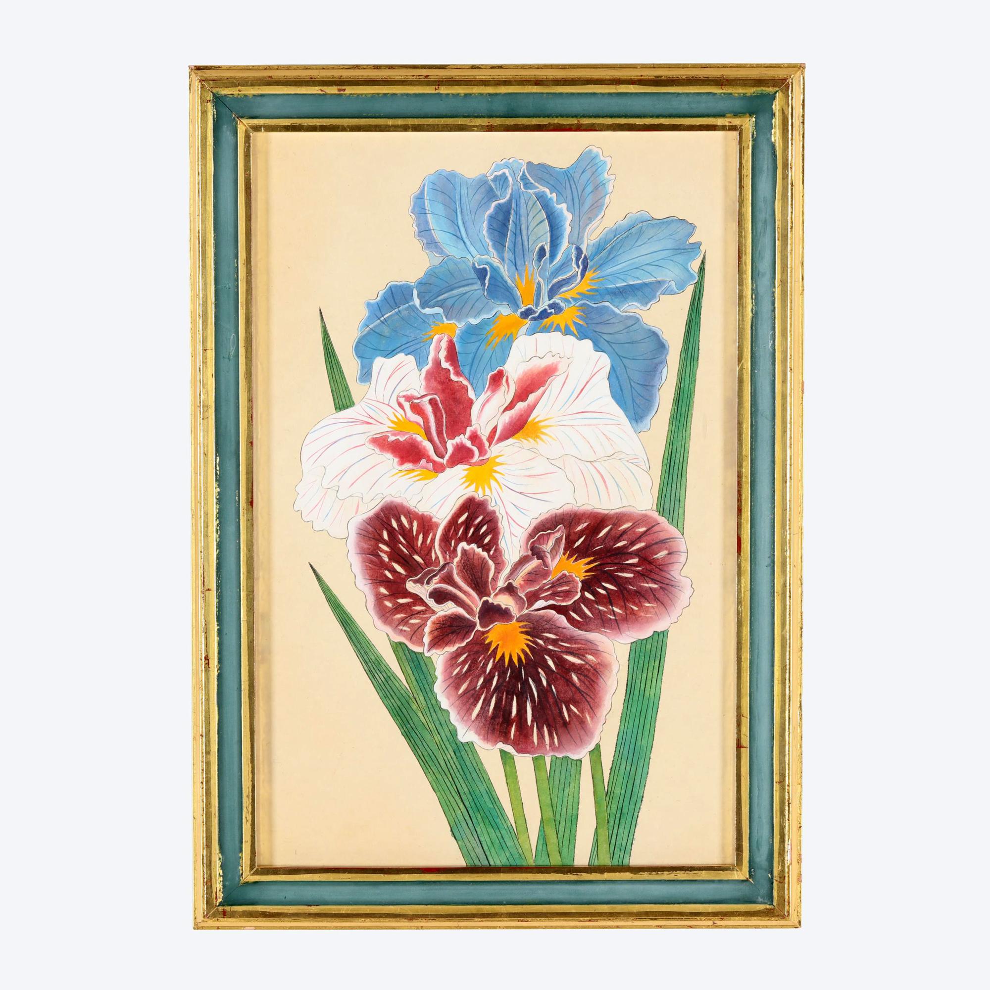 Lebendiger Satz von sechs Aquarellbildern von Schwertlilien (Papier) im Angebot