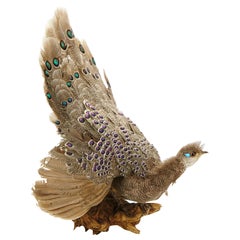 Vintage Vibrantly Coloured Peacock Pheasant Wall Mount, 20th Century