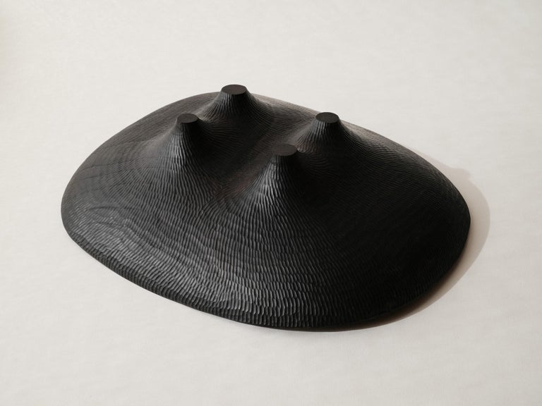 Vibration Bowl by Etienne Bailleul at 1stDibs