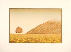 Vicente Pascual Rodrigo - Artiste espagnol, lithographie originale signée à la main, n4, 1985