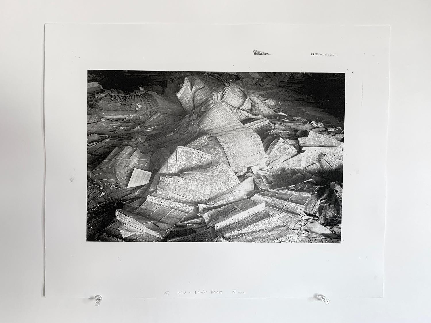 „“Spitzendesigns“, Schwarz-Weiß, Fotografie, Platin, Palladium, Industrie – Photograph von Vicki McKenna