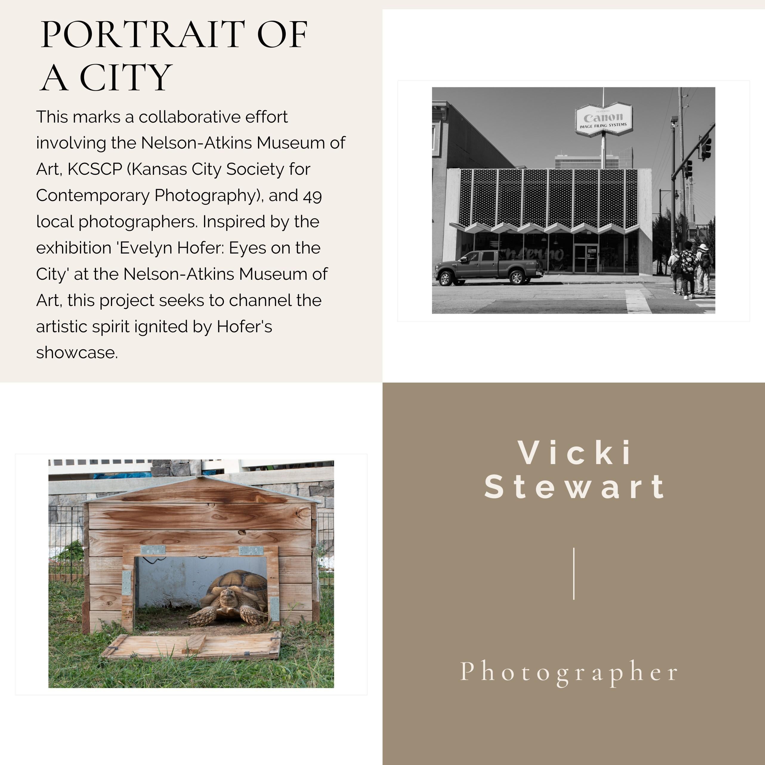 Capas del tiempo (40% DE DESCUENTO SOBRE EL PRECIO DE LISTA) - Landscape Photograph Gris de Vicki Stewart
