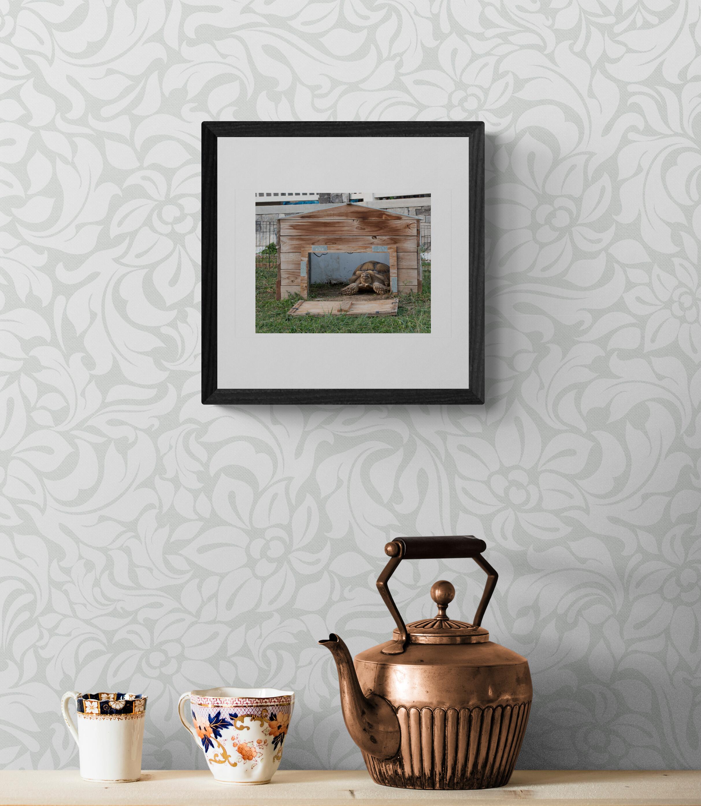 Tyrion (40% OFF LIST PRICE) - Contemporary Photograph by Vicki Stewart