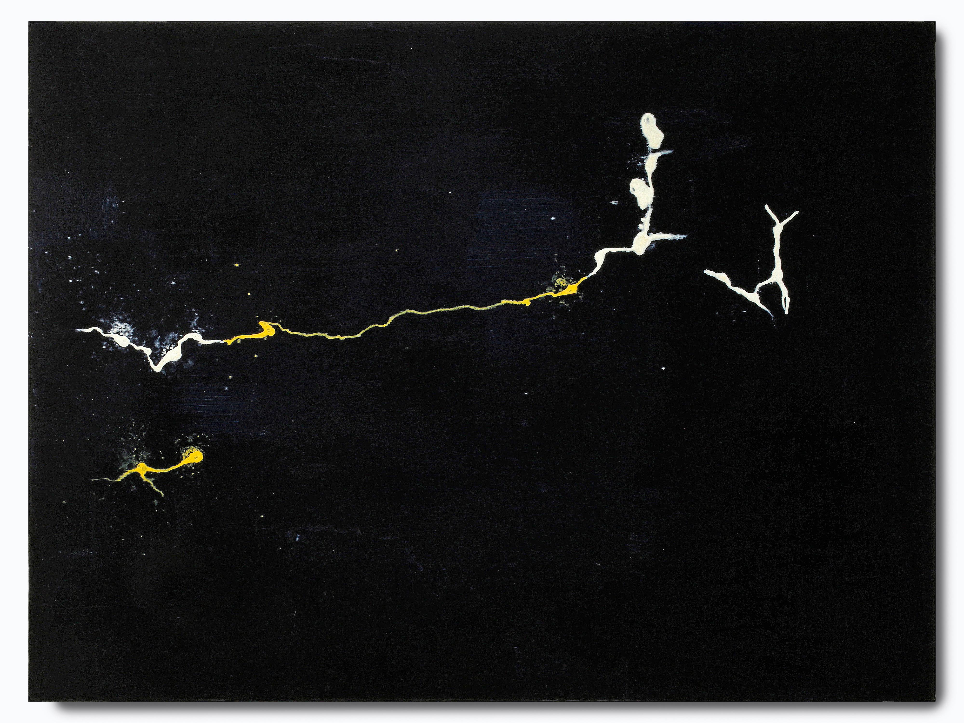 Vicky Hoffman Abstract Painting - Untitled #1 (black)